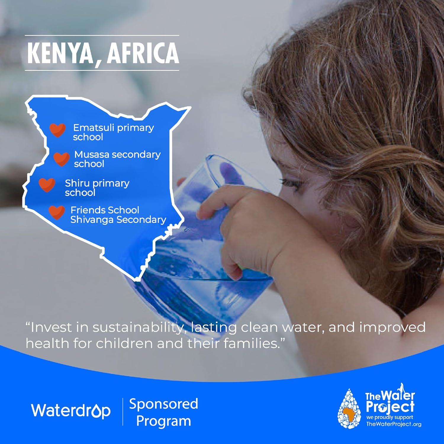 Filtro de Remineralización Waterdrop WD-MNR35 para Ósmosis Inversa