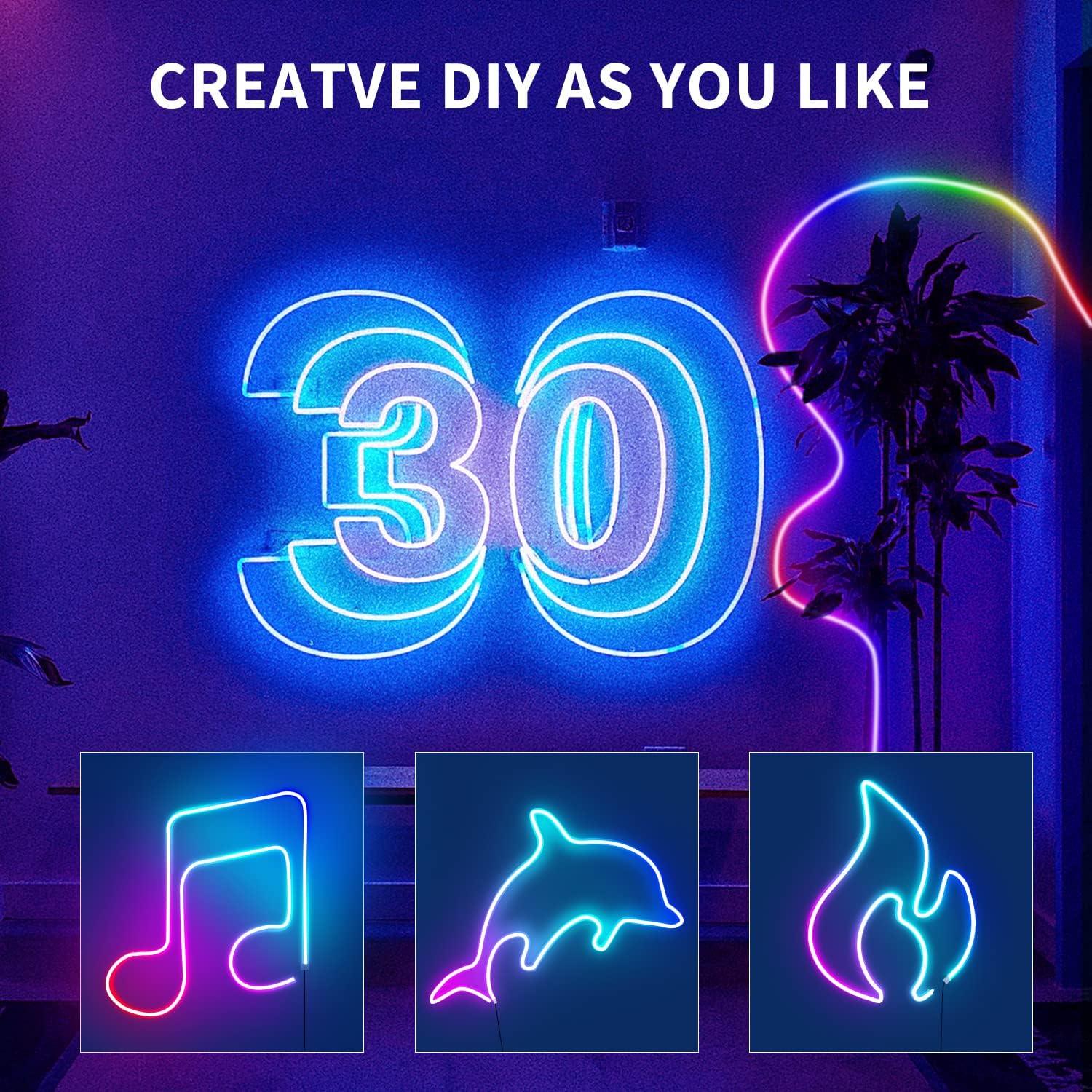 30Ft LED Rope Lights 24V RGB LED Strip Lights with Remote Control APP Control IP65 Waterproof Flexible Neon LED Lights for Bedroom Room Outdoors Décor