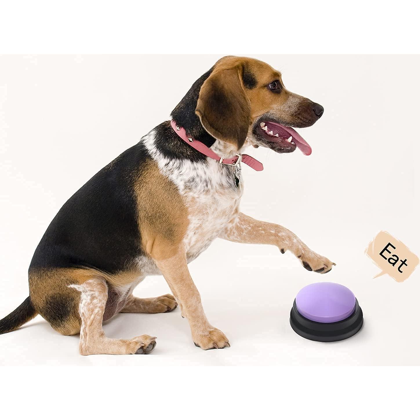 Botón de Grabación de Voz OFVENS 30 Segundos 4 Paquetes