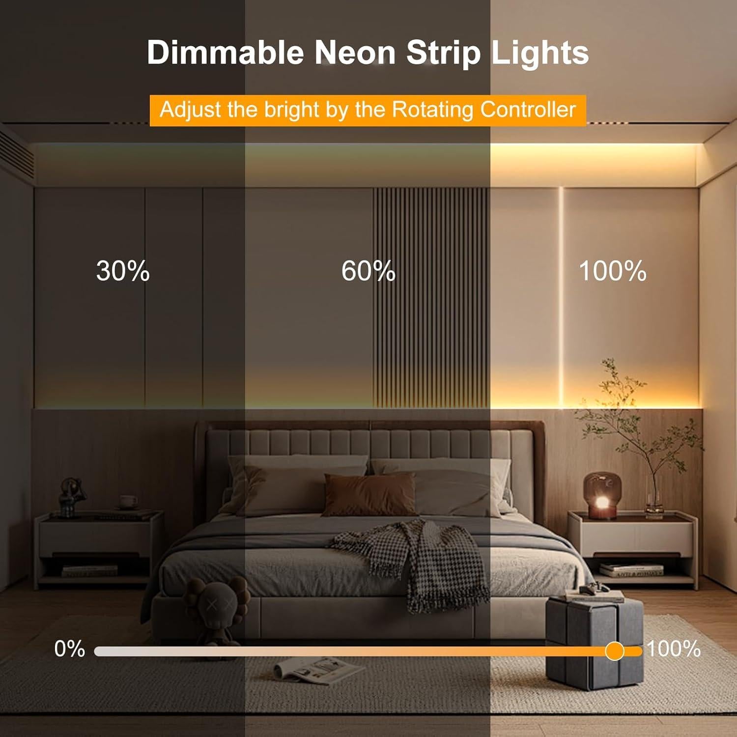 Luces de Neón LED DBFAIRY 10m Regulables 24V Impermeables