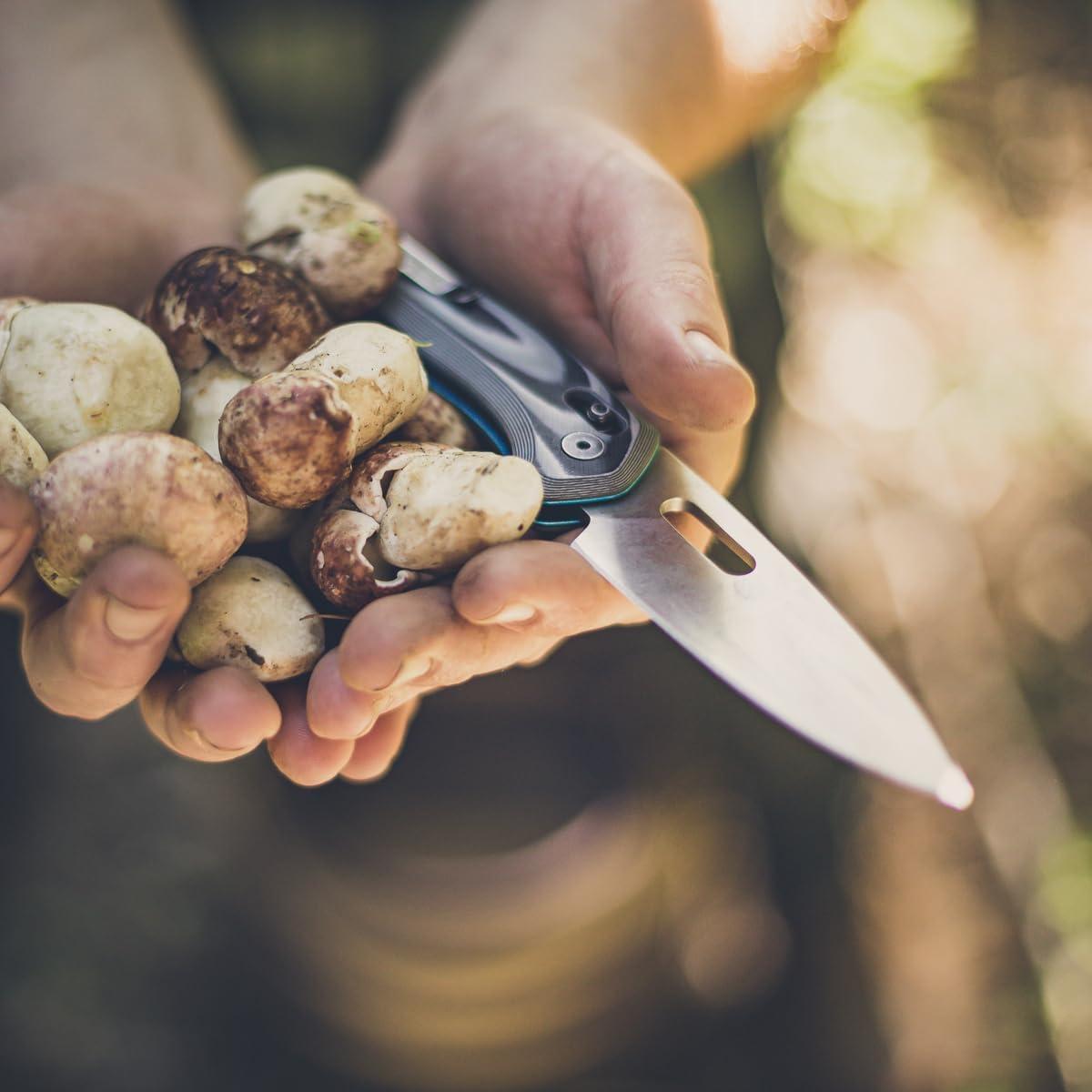 Cuchillo Plegable EDC Gerber Gear Sumo 9.9 cm Cian Azul