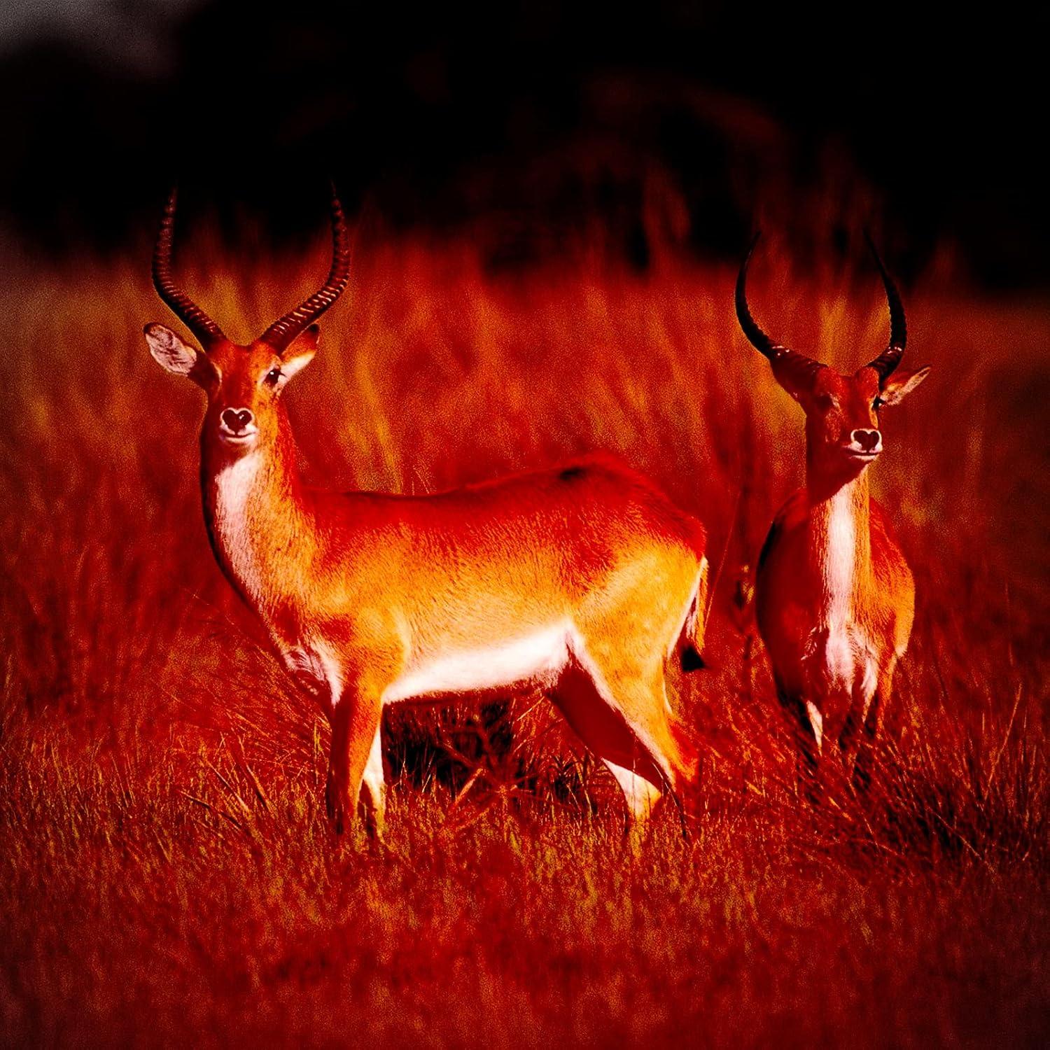 Linterna Frontal Recargable Geekhigh H14G 500 Lúmenes IP54