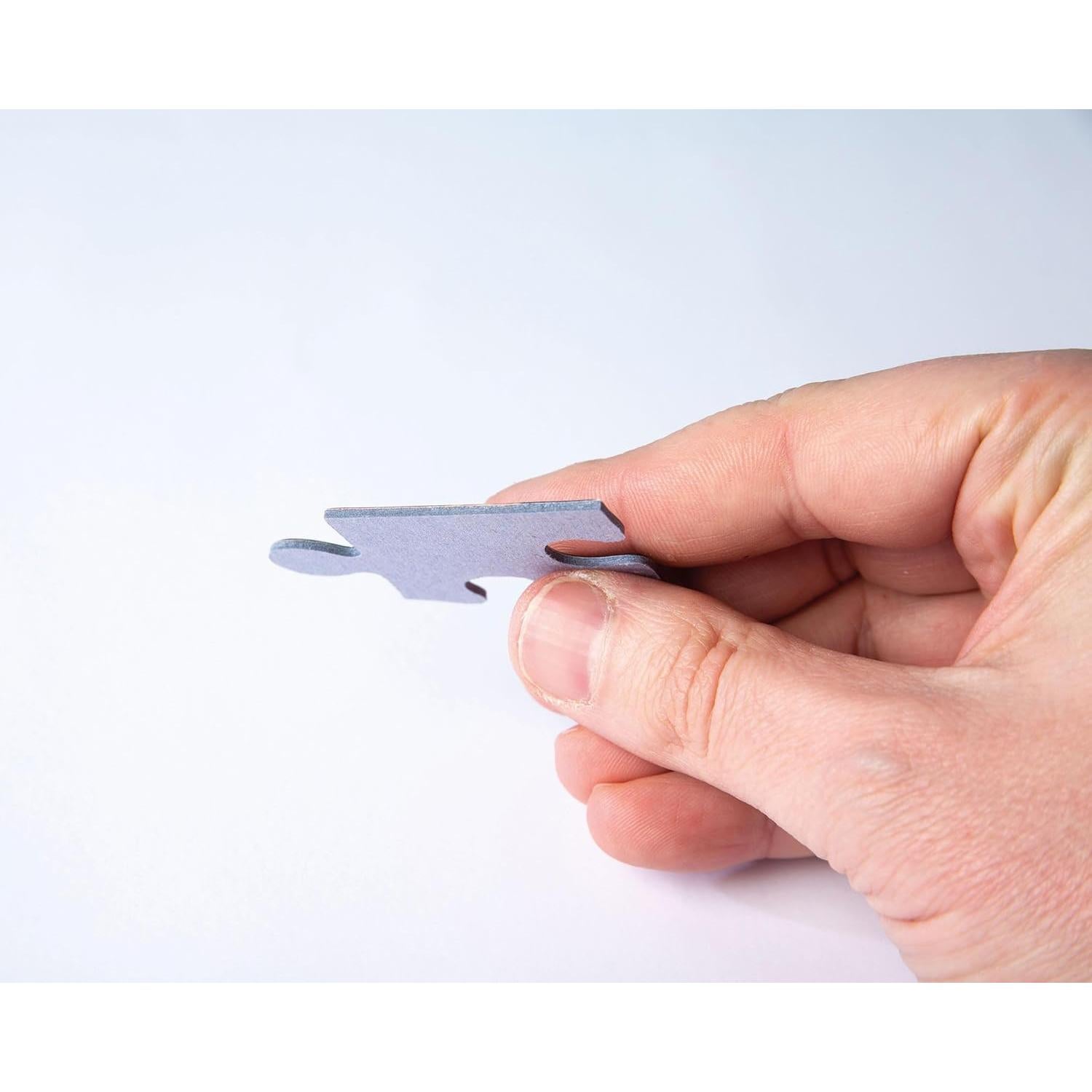 Rompecabezas Clementoni 1000 Piezas Villanos Disney 70x50cm