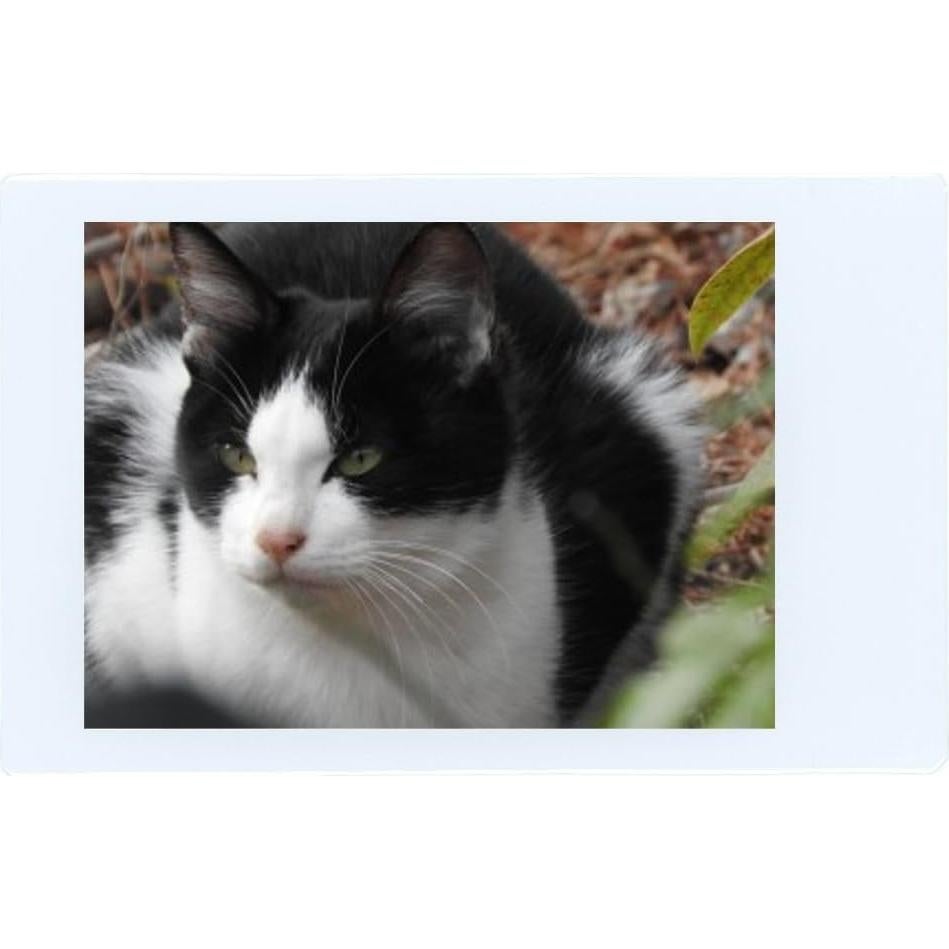 Película Instantánea Fujifilm Instax Mini - 40 Hojas ISO 800