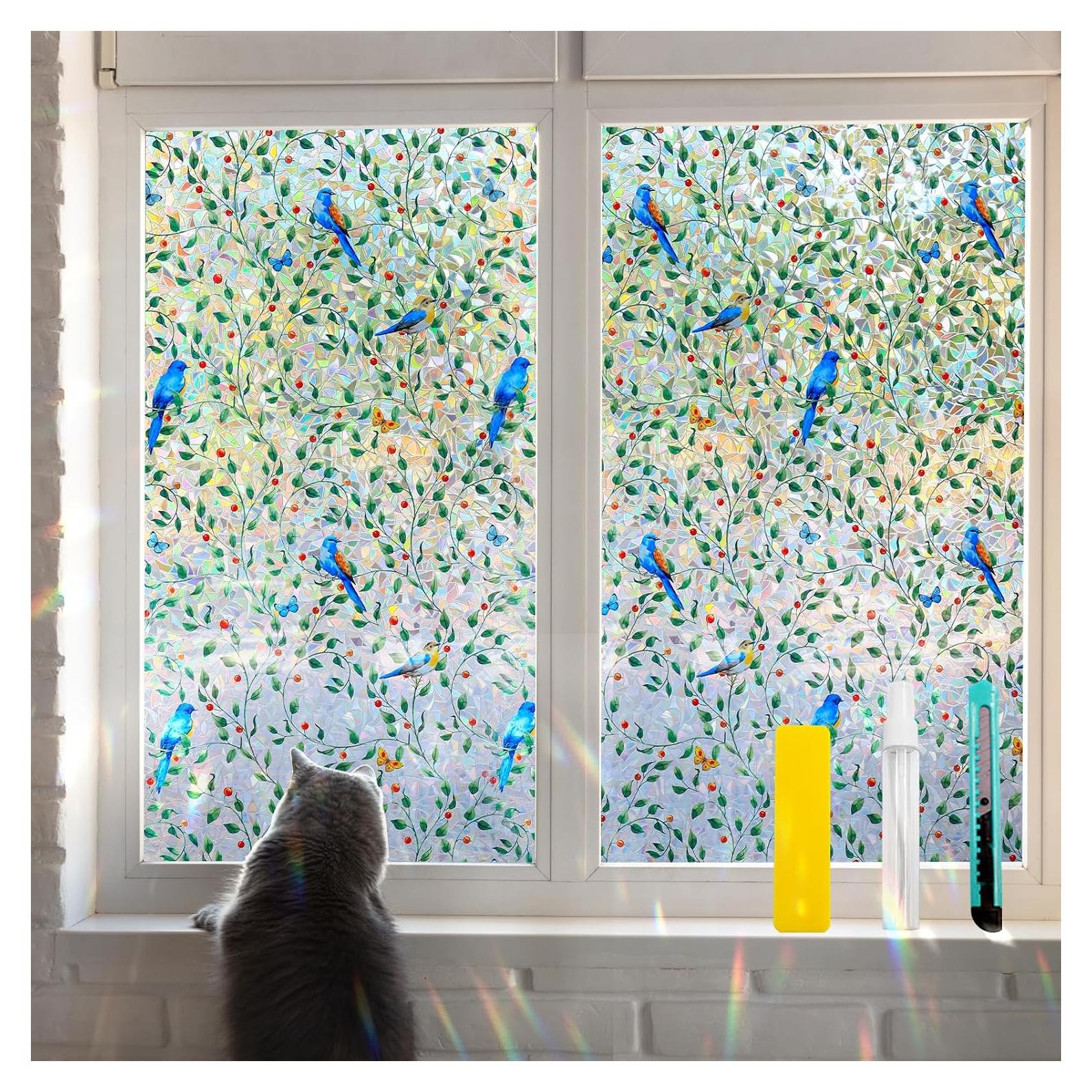 Película de Privacidad para Ventanas QHYsunshine 44.5x200cm Aves Coloridas