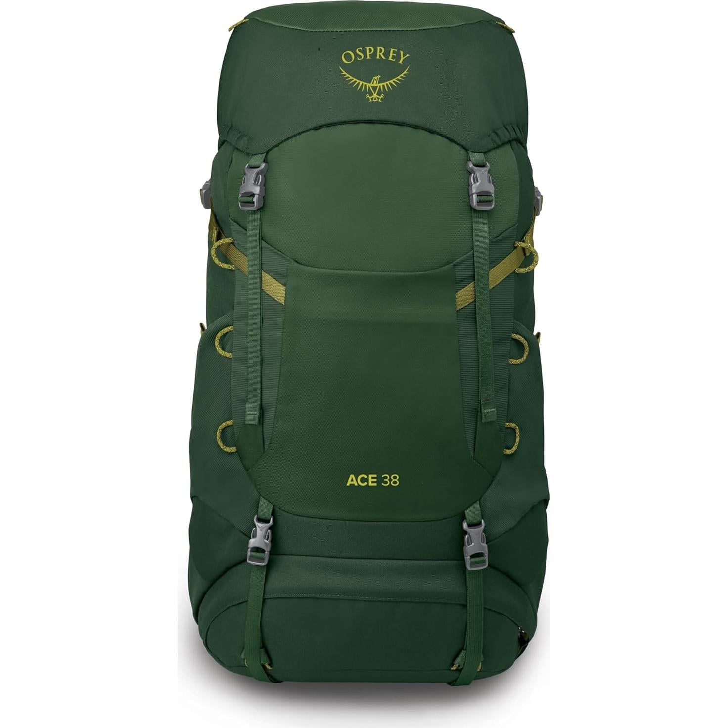 Mochila de Senderismo Osprey Ace 38L Niños Canopy Verde