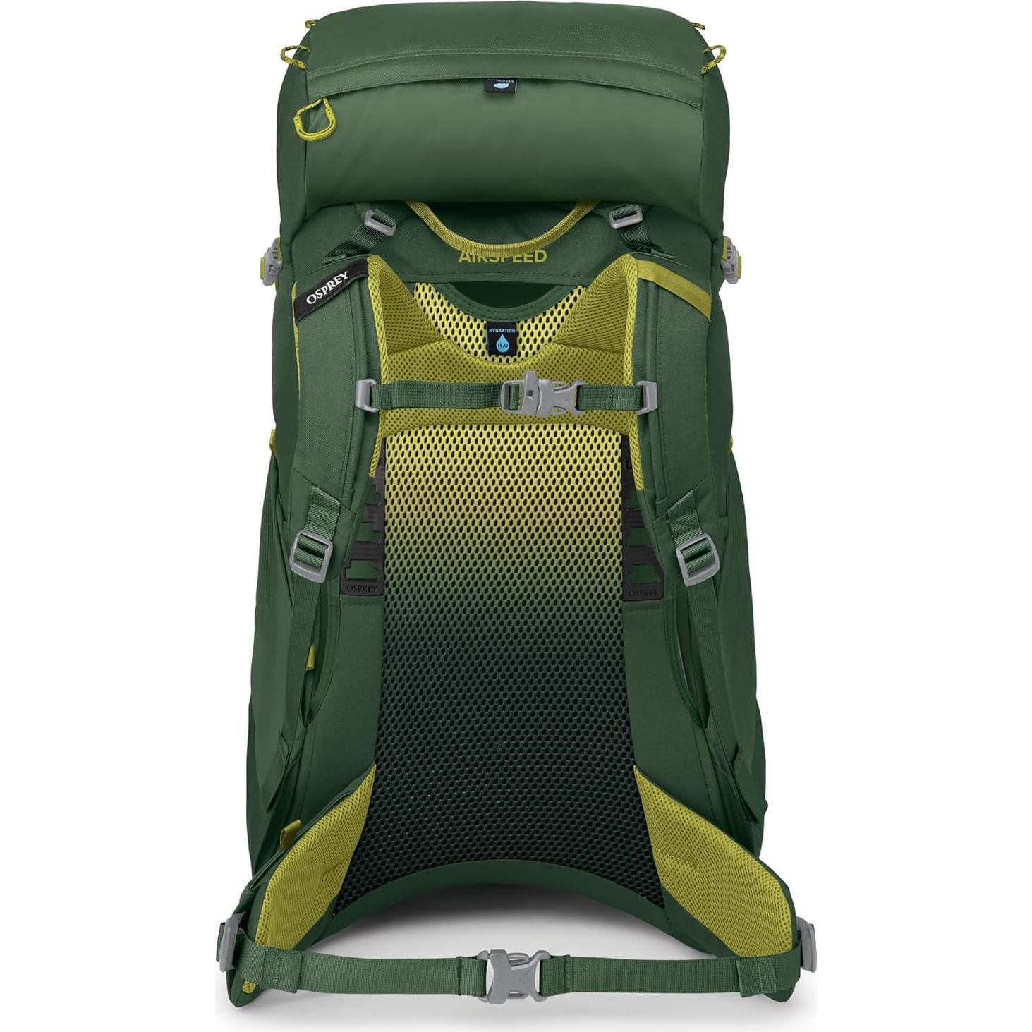 Mochila de Senderismo Osprey Ace 38L Niños Canopy Verde
