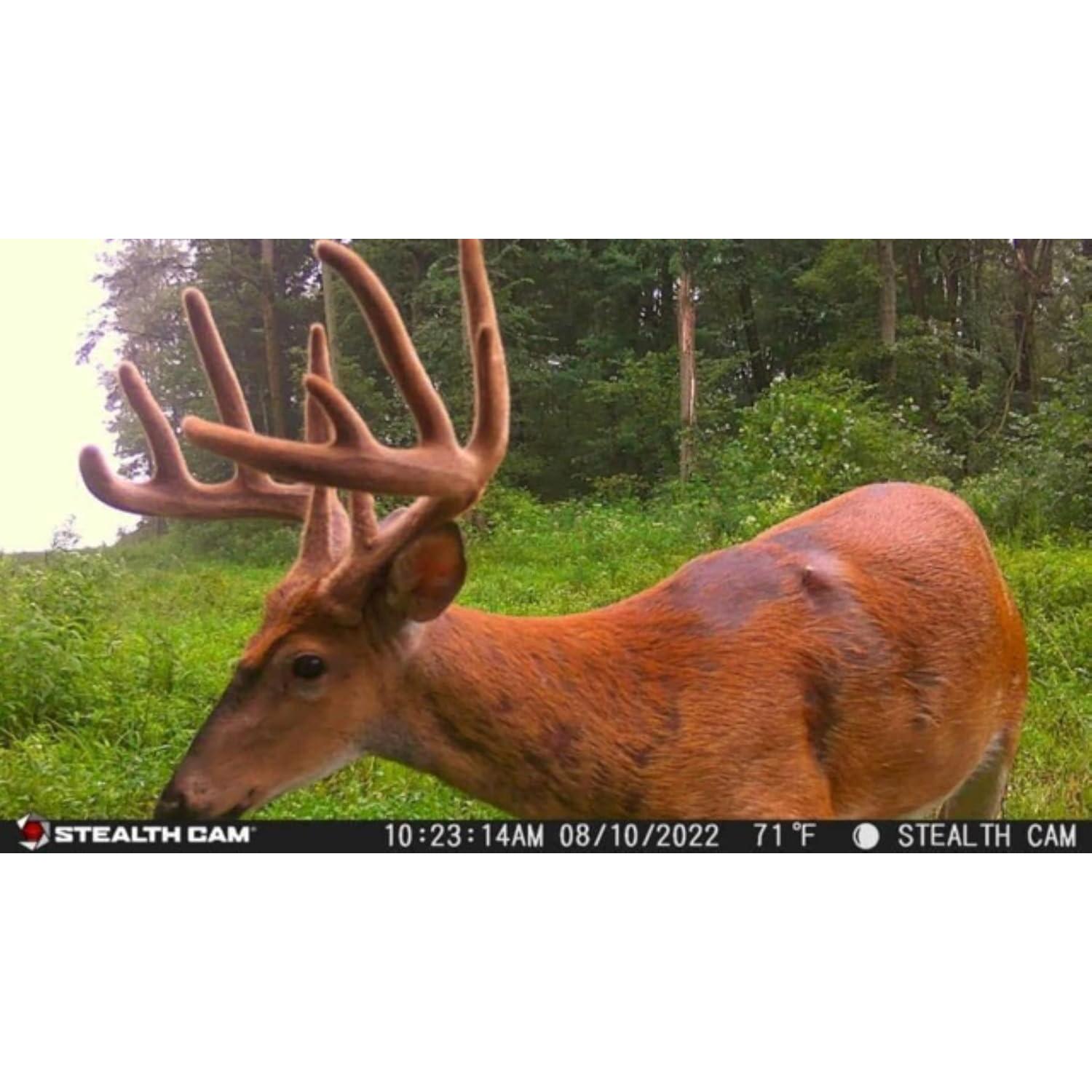 Cámara de Caza Inalámbrica Stealth Cam Fusion X 26 MP