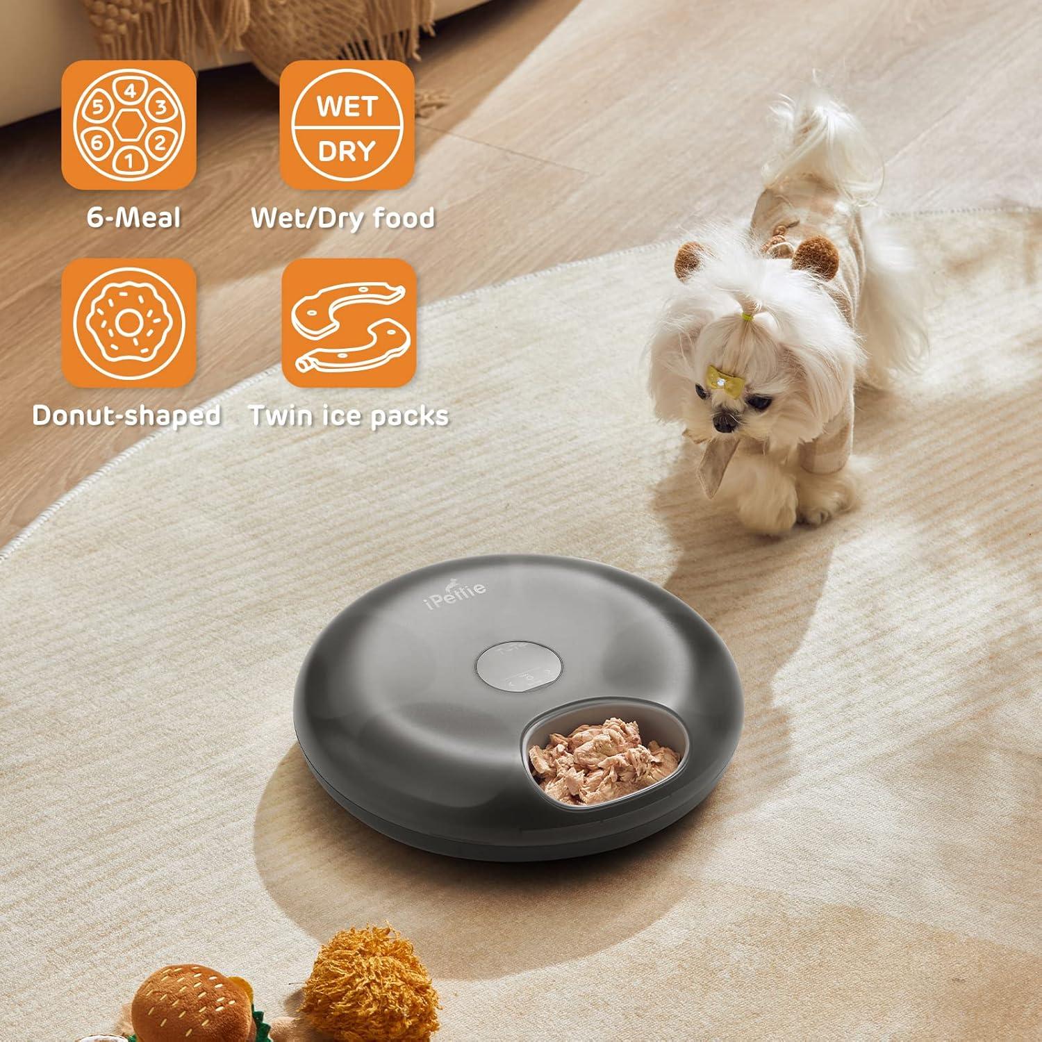 Alimentador Automático iPettie 6 Comidas para Gatos