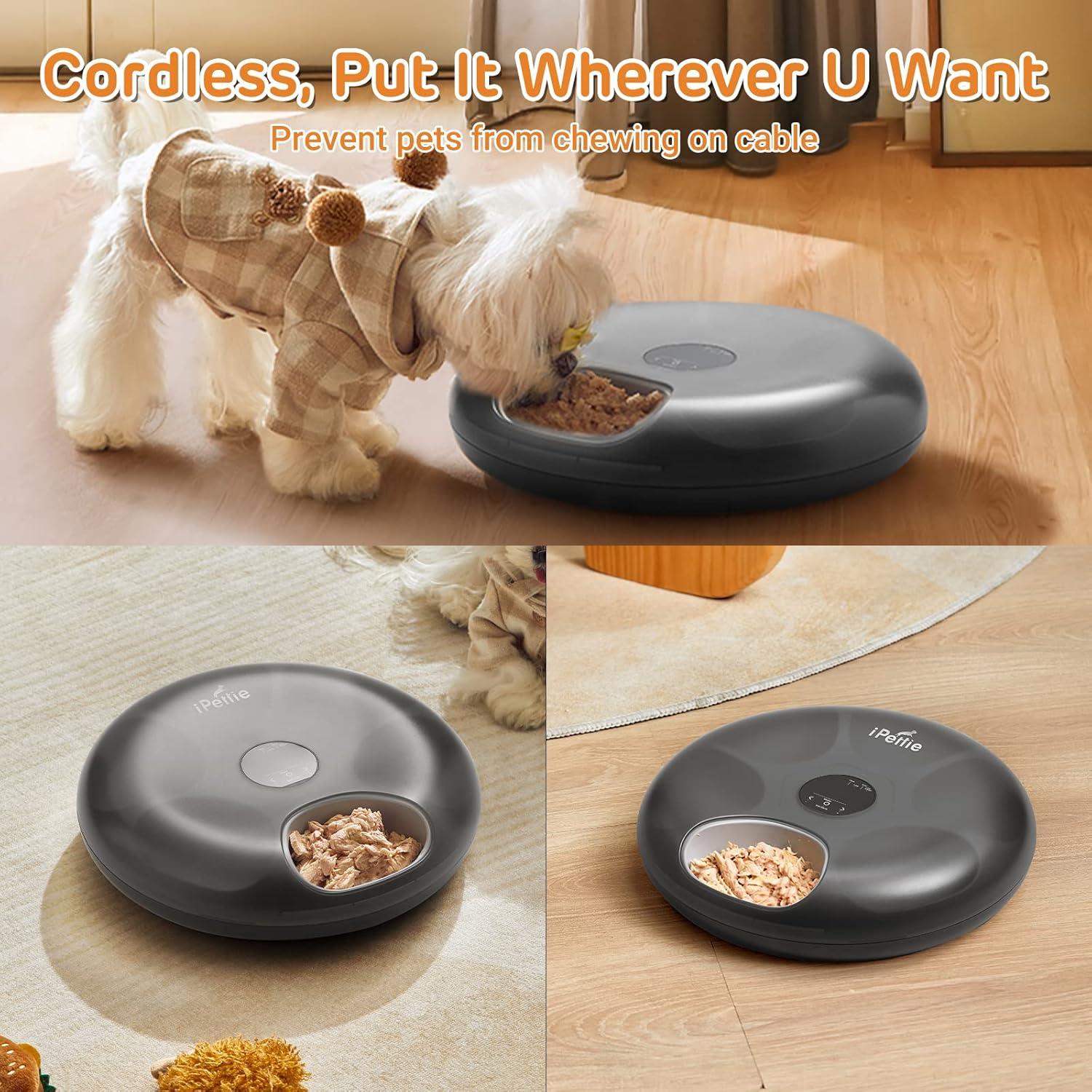 Alimentador Automático iPettie 6 Comidas para Gatos