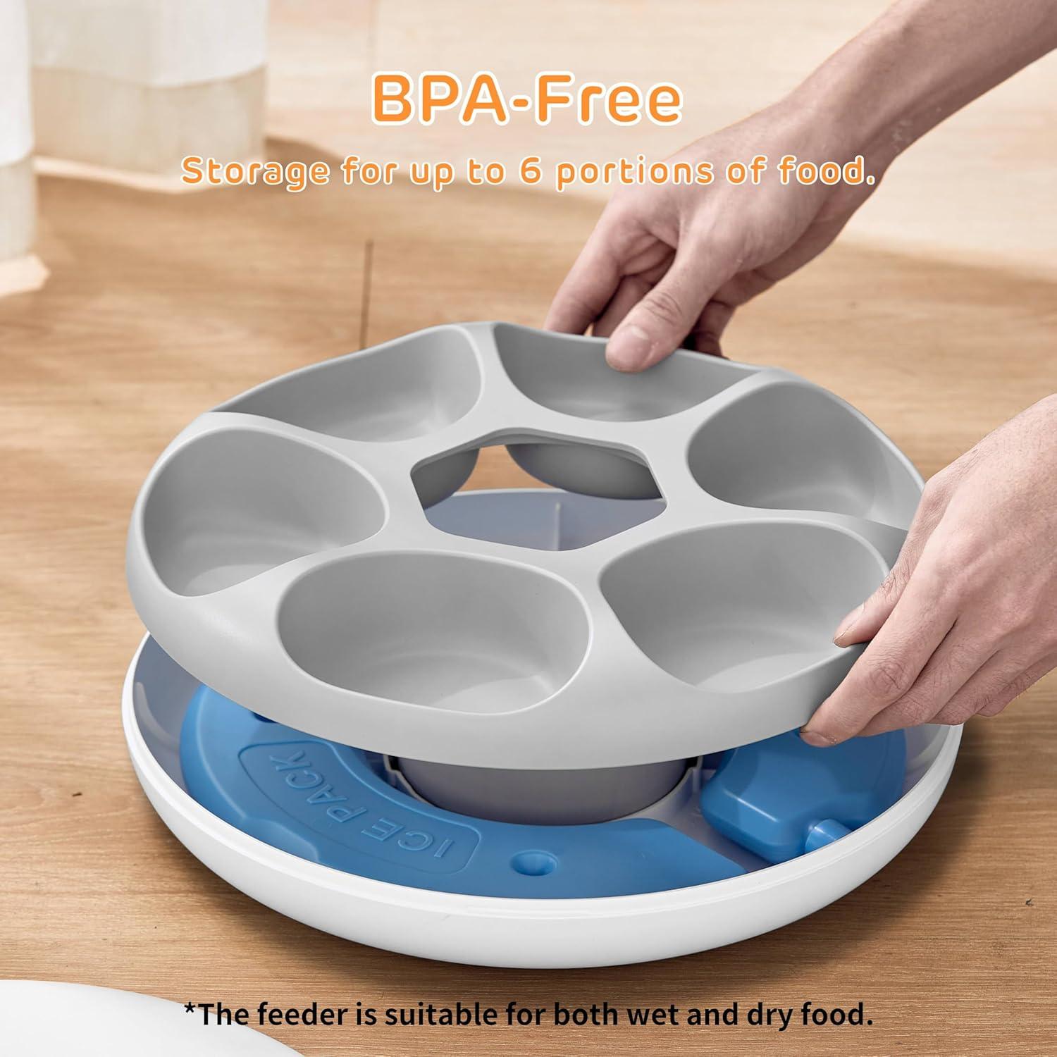 Alimentador Automático iPettie 6 Comidas para Gatos