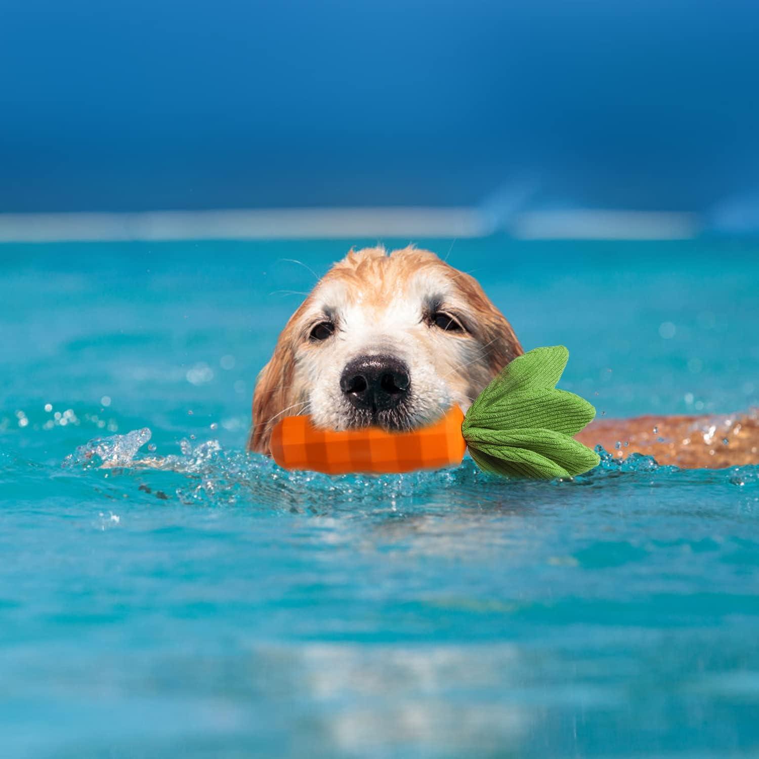 Juguete Squeaky para Perros MewaJump Zanahoria 22,86 cm