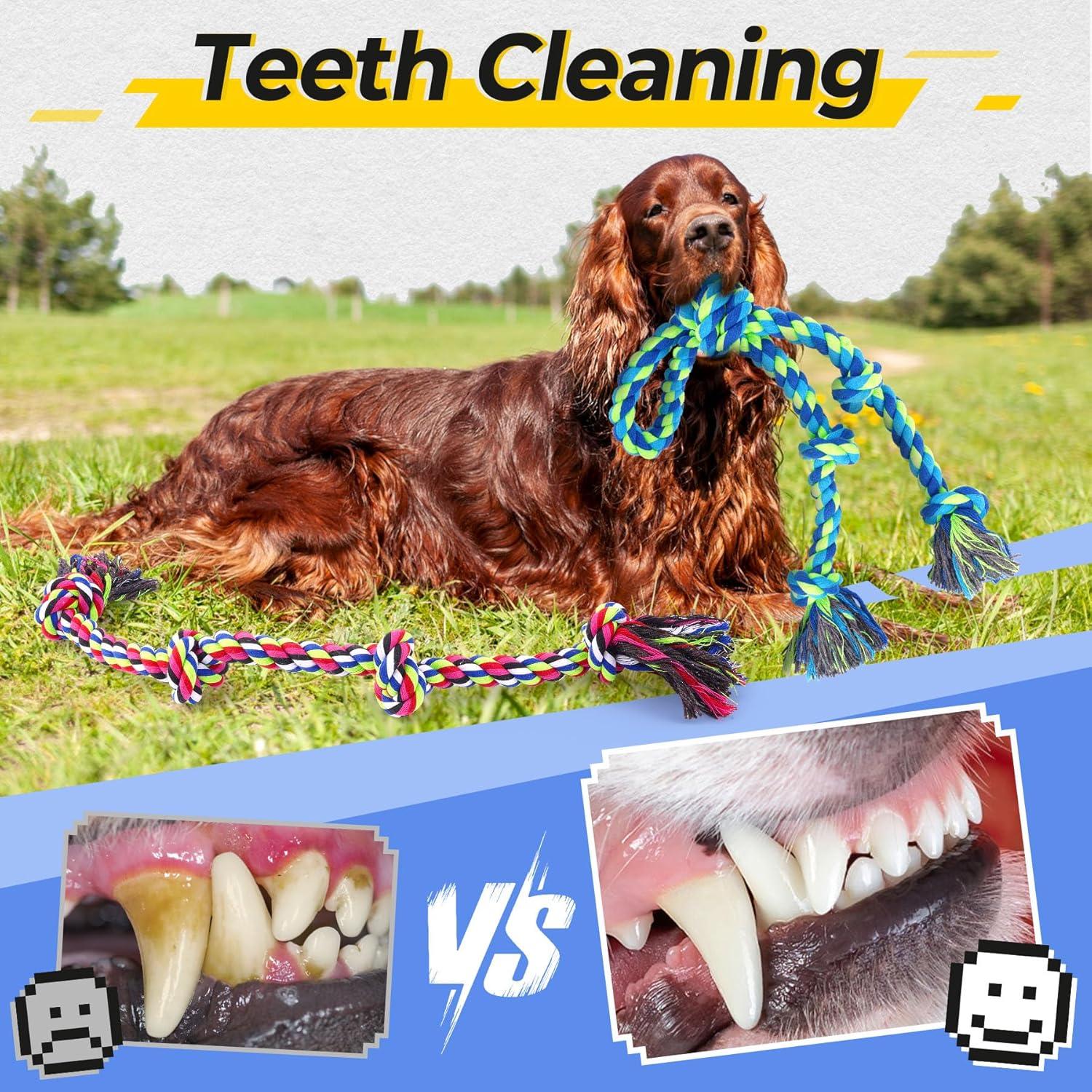 Juguetes de Cuerda para Perros Eefitoys 5 en 1 Resistentes