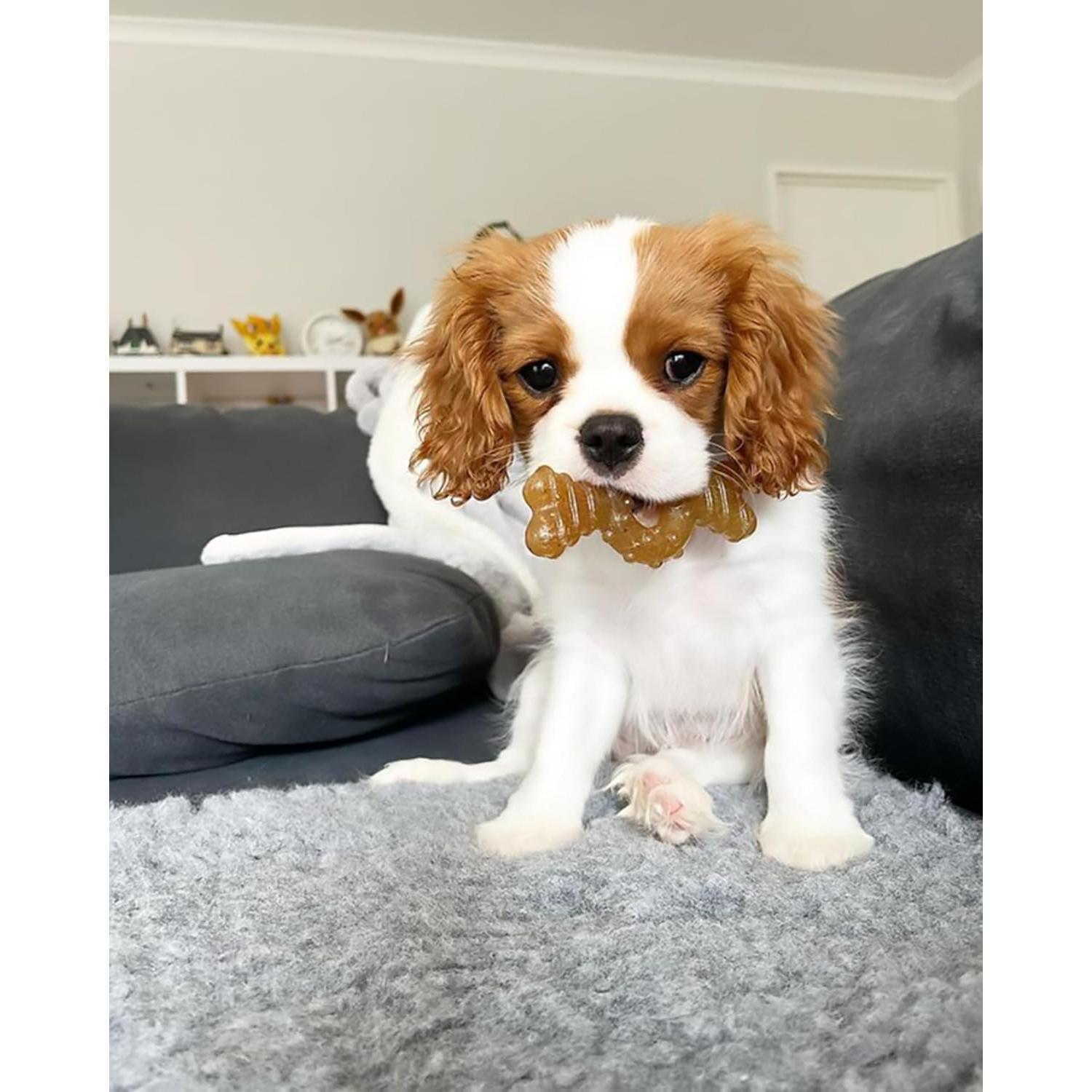 Juguete de Masticar Nylabone para Cachorros Sabor Pollo