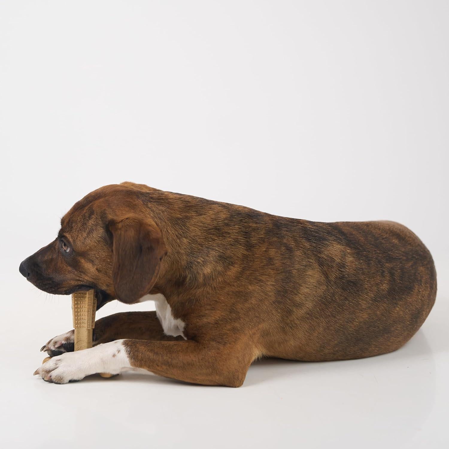 Juguete Masticar Perro SPOT Bam-Bones T-Bone 15cm Pollo