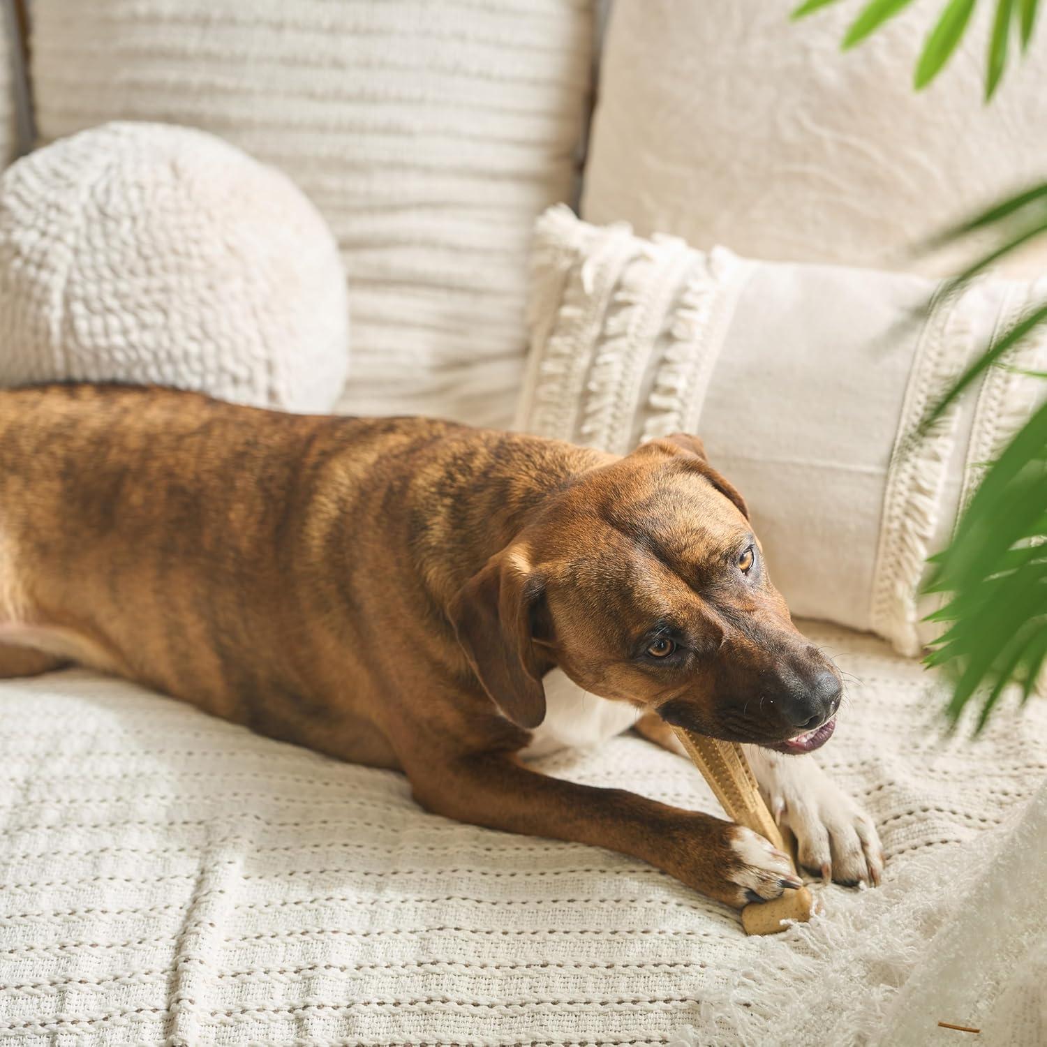 Juguete Masticar Perro SPOT Bam-Bones T-Bone 15cm Pollo