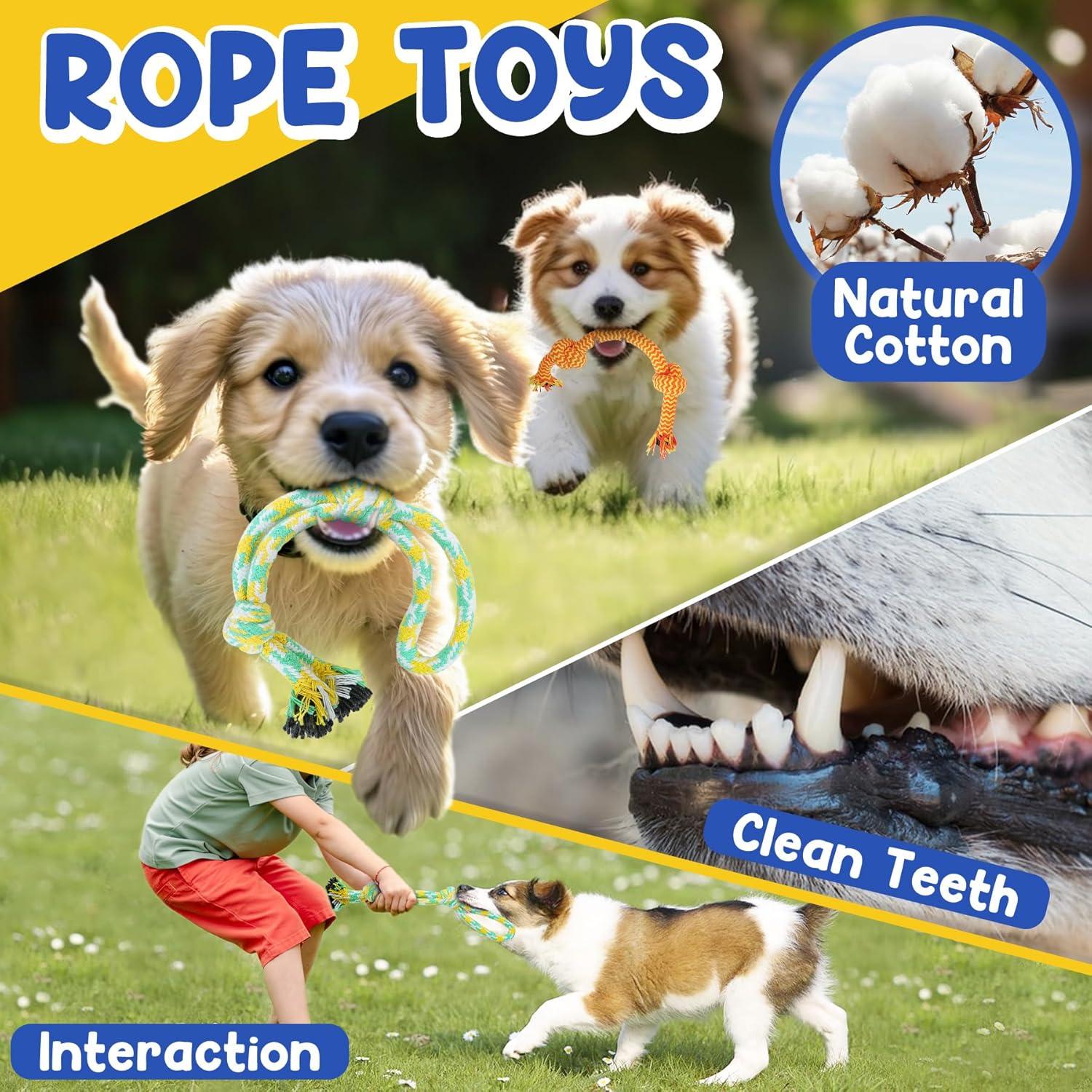 Juguetes para Cachorros PatsFran - Paquete de 9 Interactivos