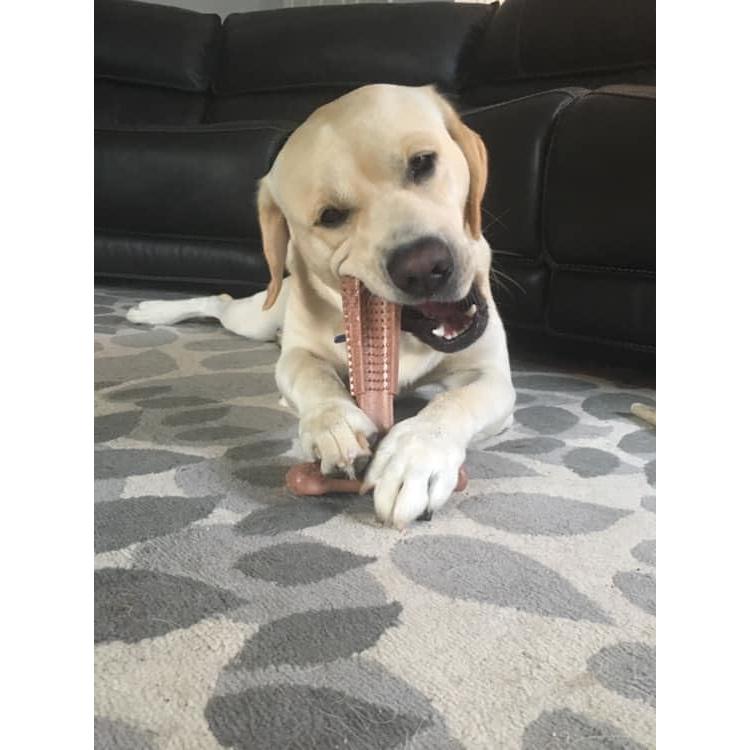 Juguete Masticar Perro SPOT Bam-Bones T-Bone 15 cm Sabor Res