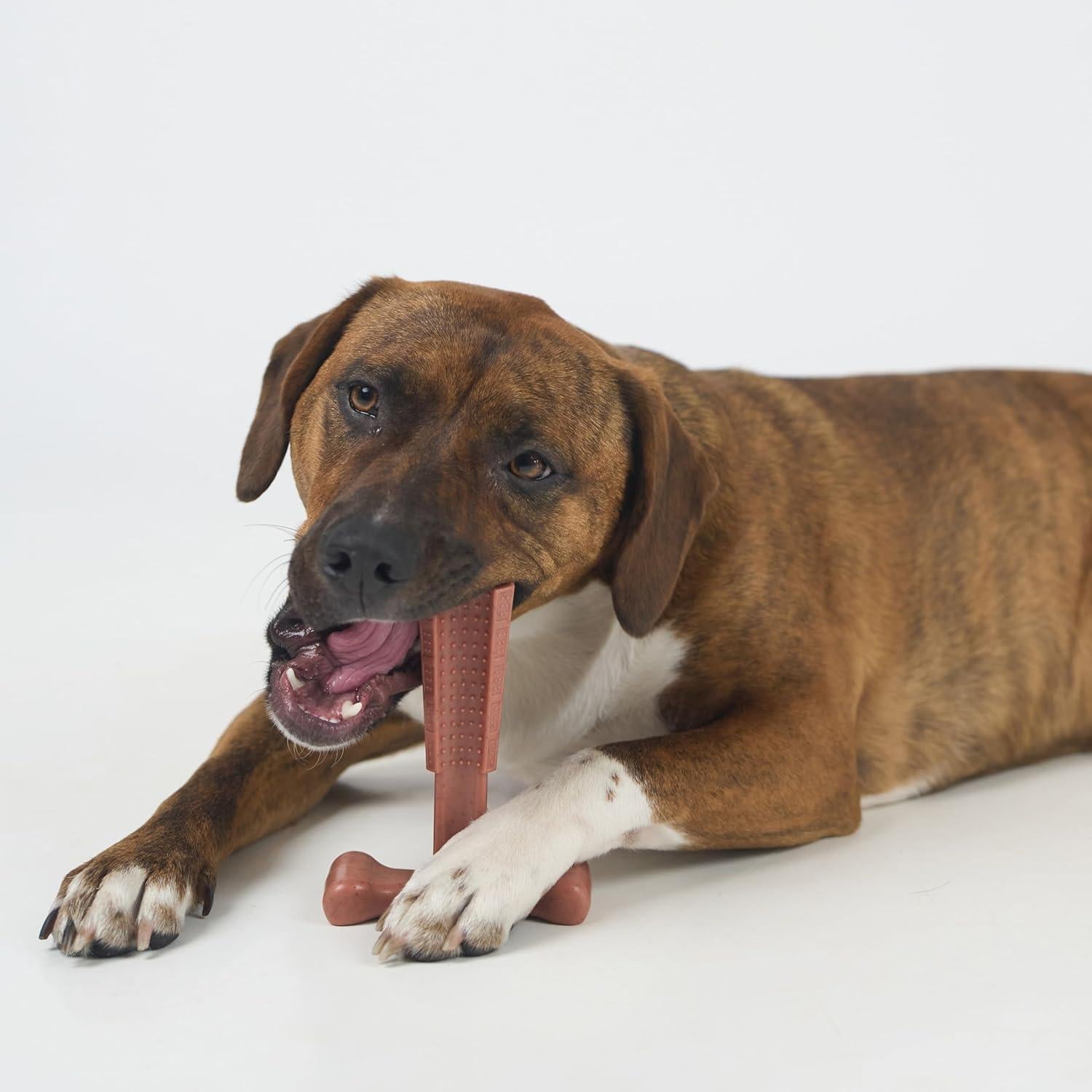 Juguete Masticar Perro SPOT Bam-Bones T-Bone 15 cm Sabor Res