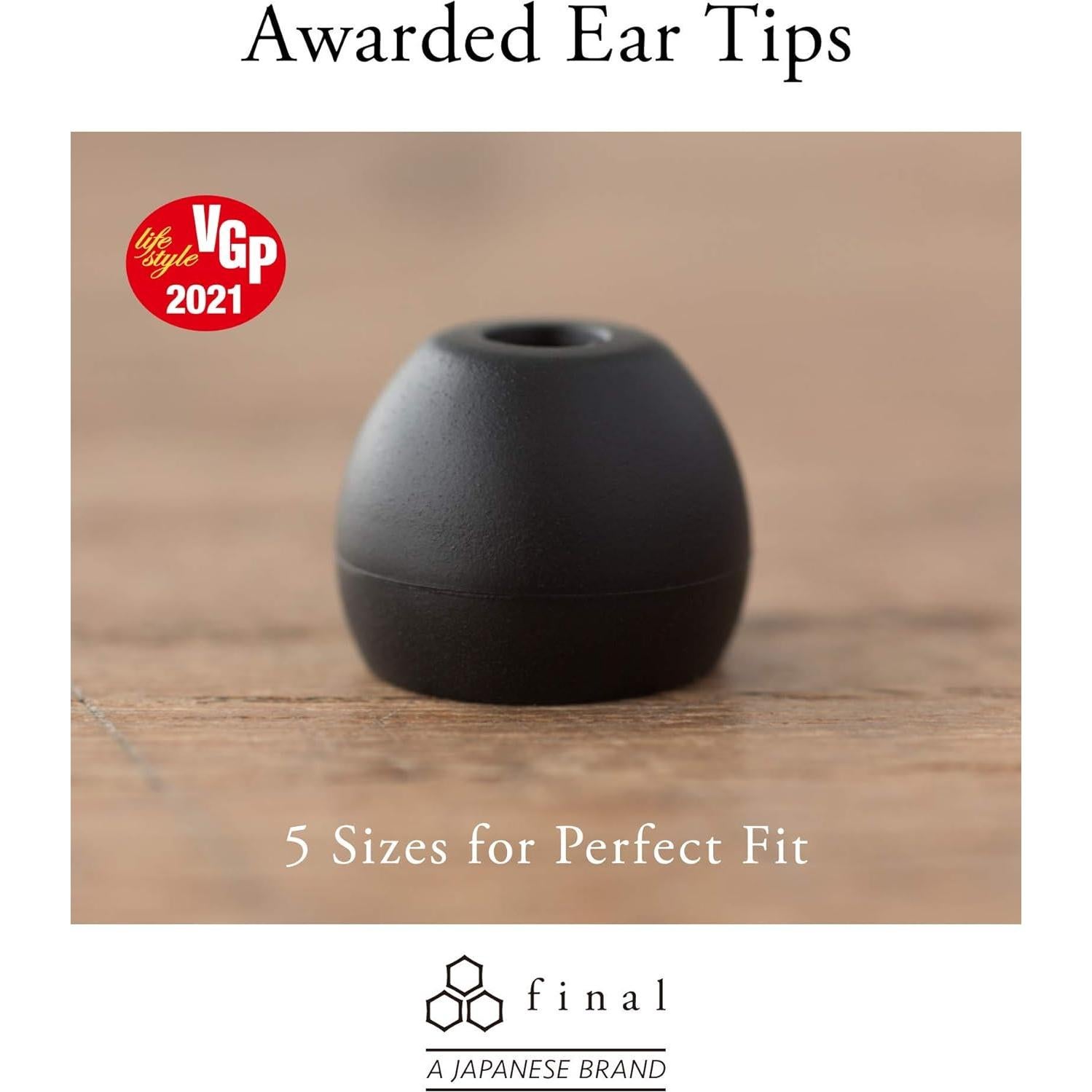 Final E2000 FI-E2DALCS in-Ear Earphones, Controller with Microphone, Matte Silver