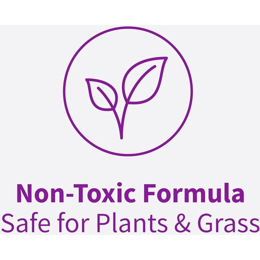 Limpiador de Ventanas Exteriores Rejuvenate 950 ml con Manguera