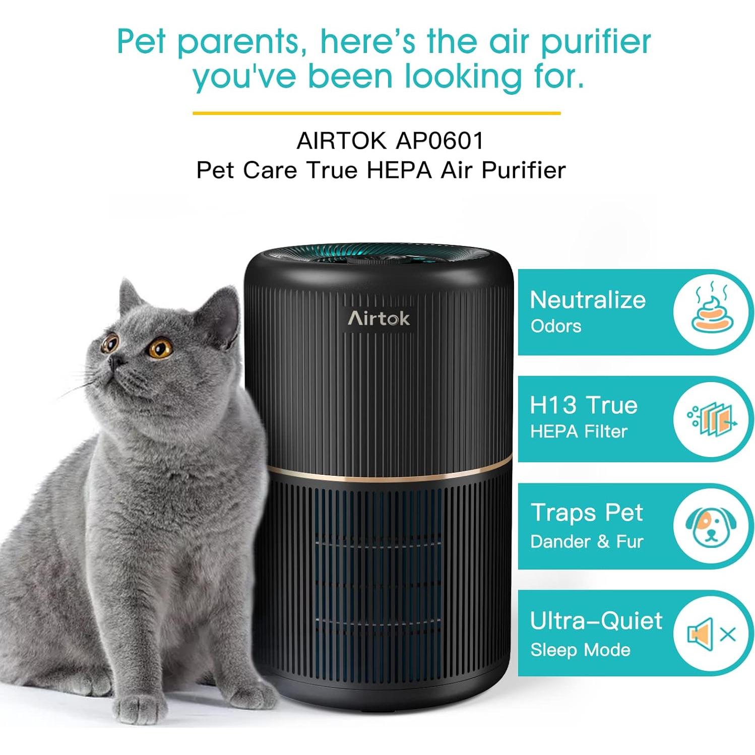 Paquete de 2 Purificadores de Aire AIRTOK AP0601 con Filtro HEPA