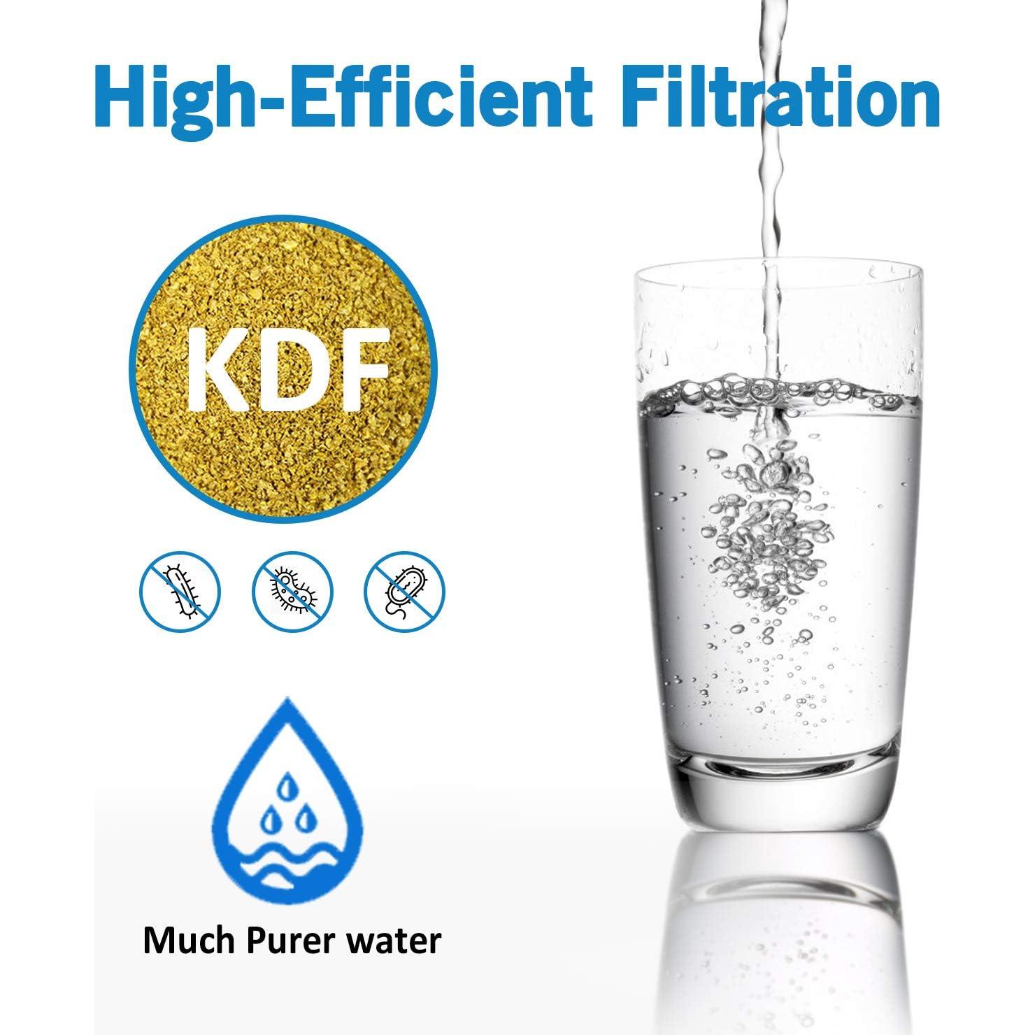 Filtro de Agua Inline Lifefilter RV - Paquete de 2, Reduce Cloro y Olores