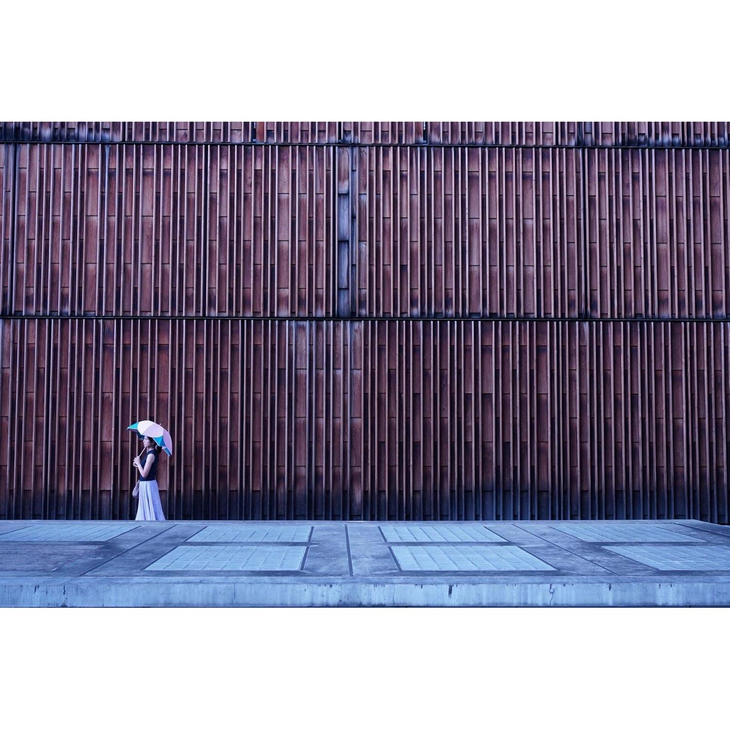 Cámara sin Espejo Sony Alpha A6100 con Lente Zoom 16-50mm