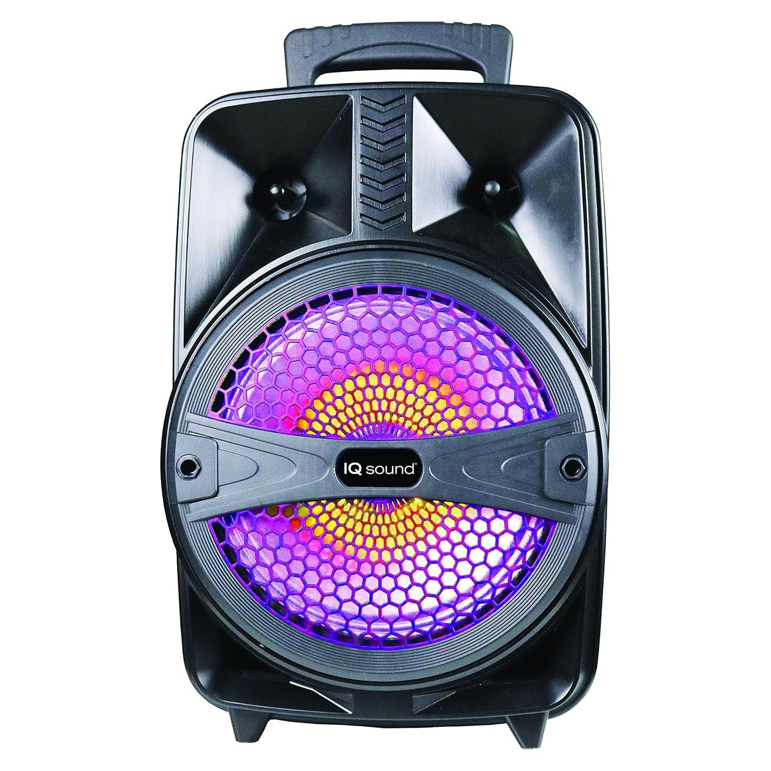 Altavoz Bluetooth IQ Sound IQ-2078DJBT 8" 1000W USB FM