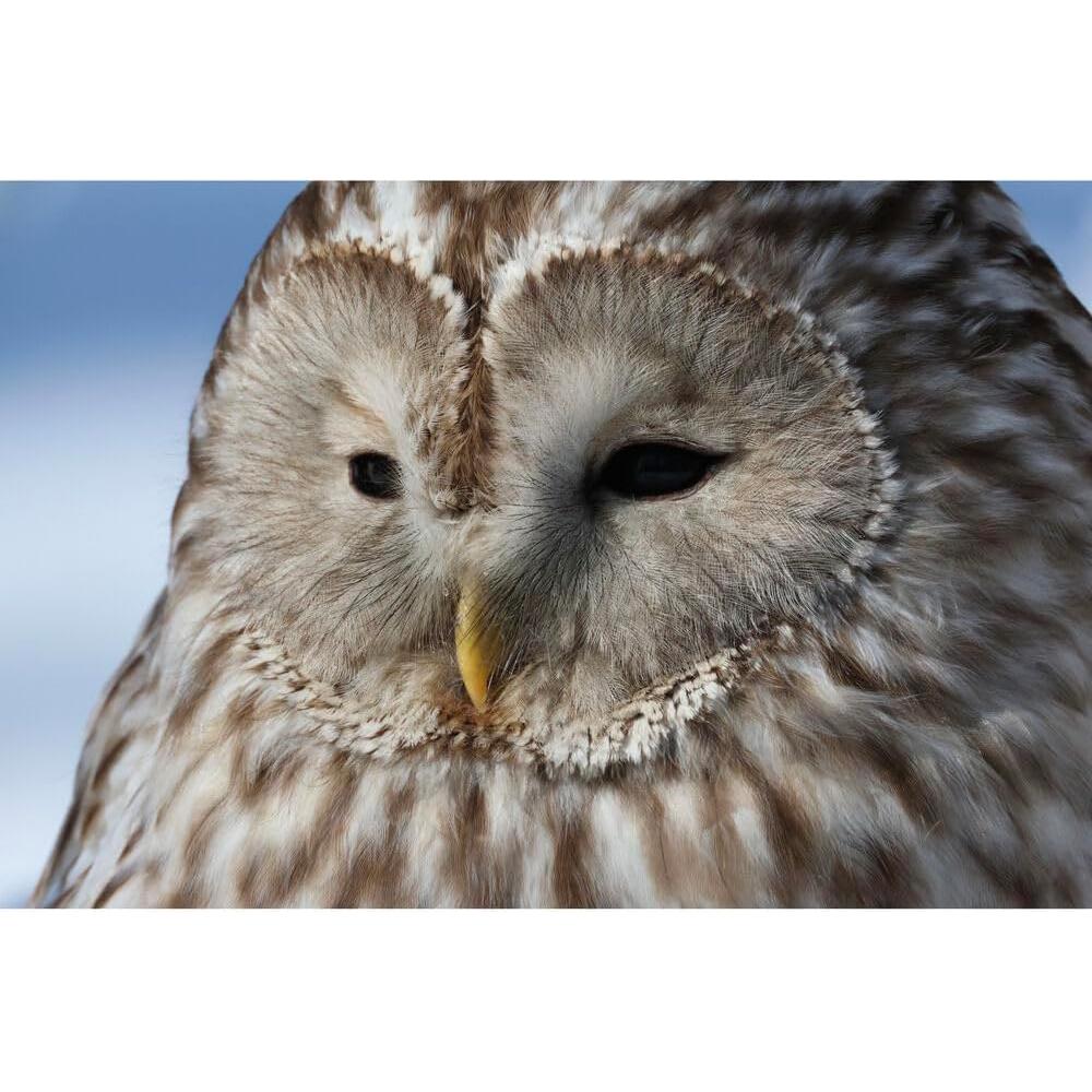 Cámara Sin Espejo Canon EOS R7 Kit RF-S 18-150mm 32.5 MP 4K