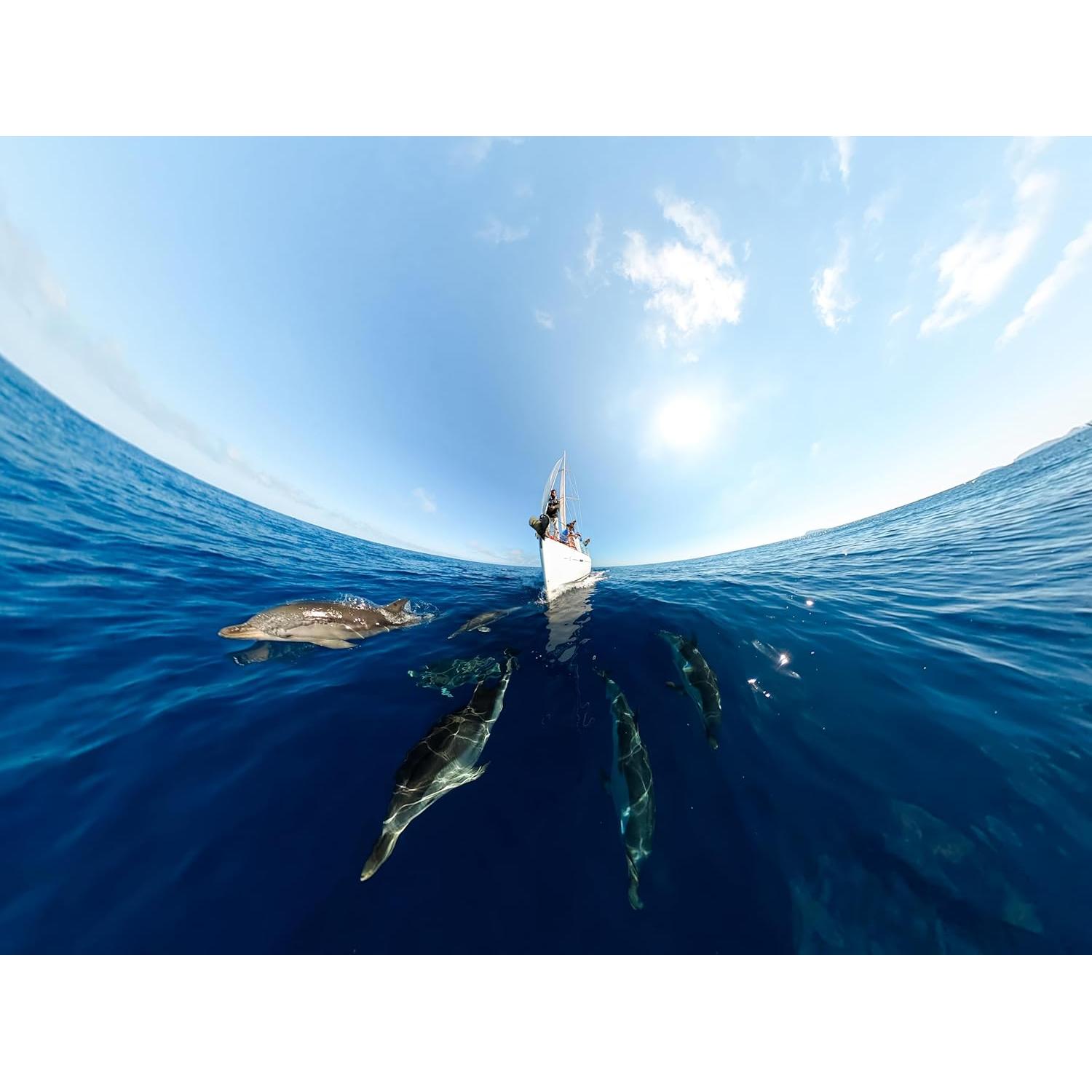 Cámara de acción GoPro MAX 5.6K 360 a prueba de agua