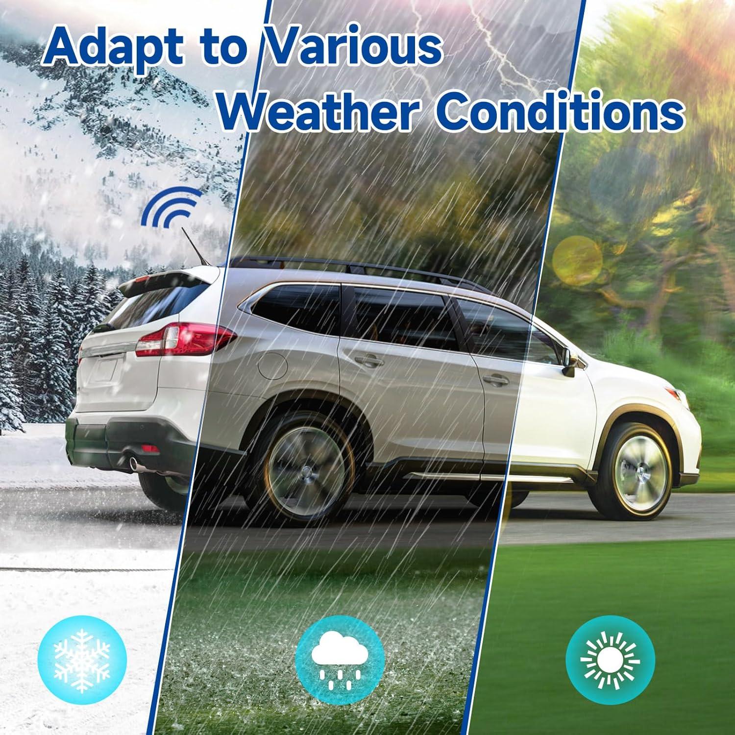 Antena Amplificada FM/AM Eightwood 17.3cm para Vehículo