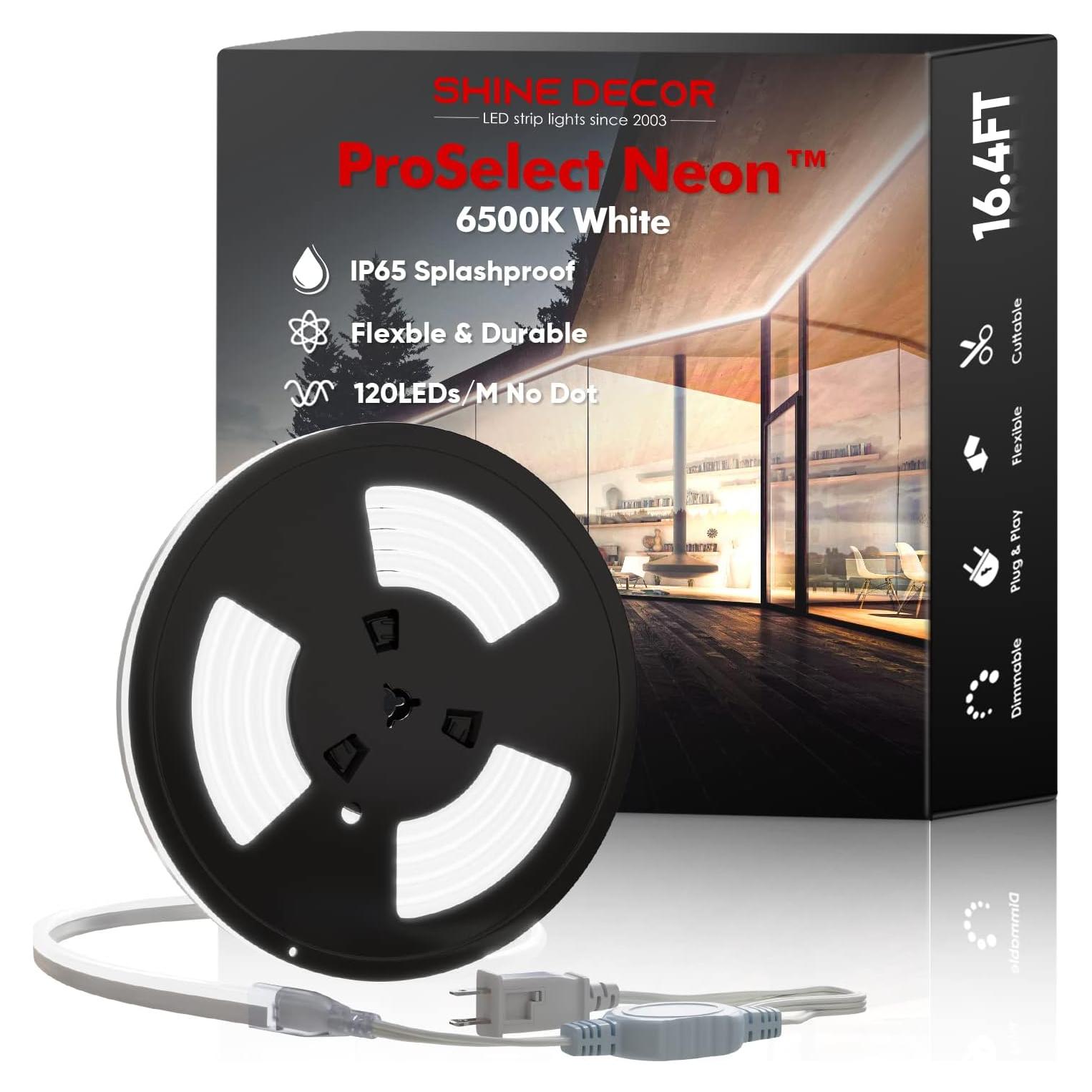 Luces de Cuerda de Neón LED Shine Decor 5M IP65 6500K