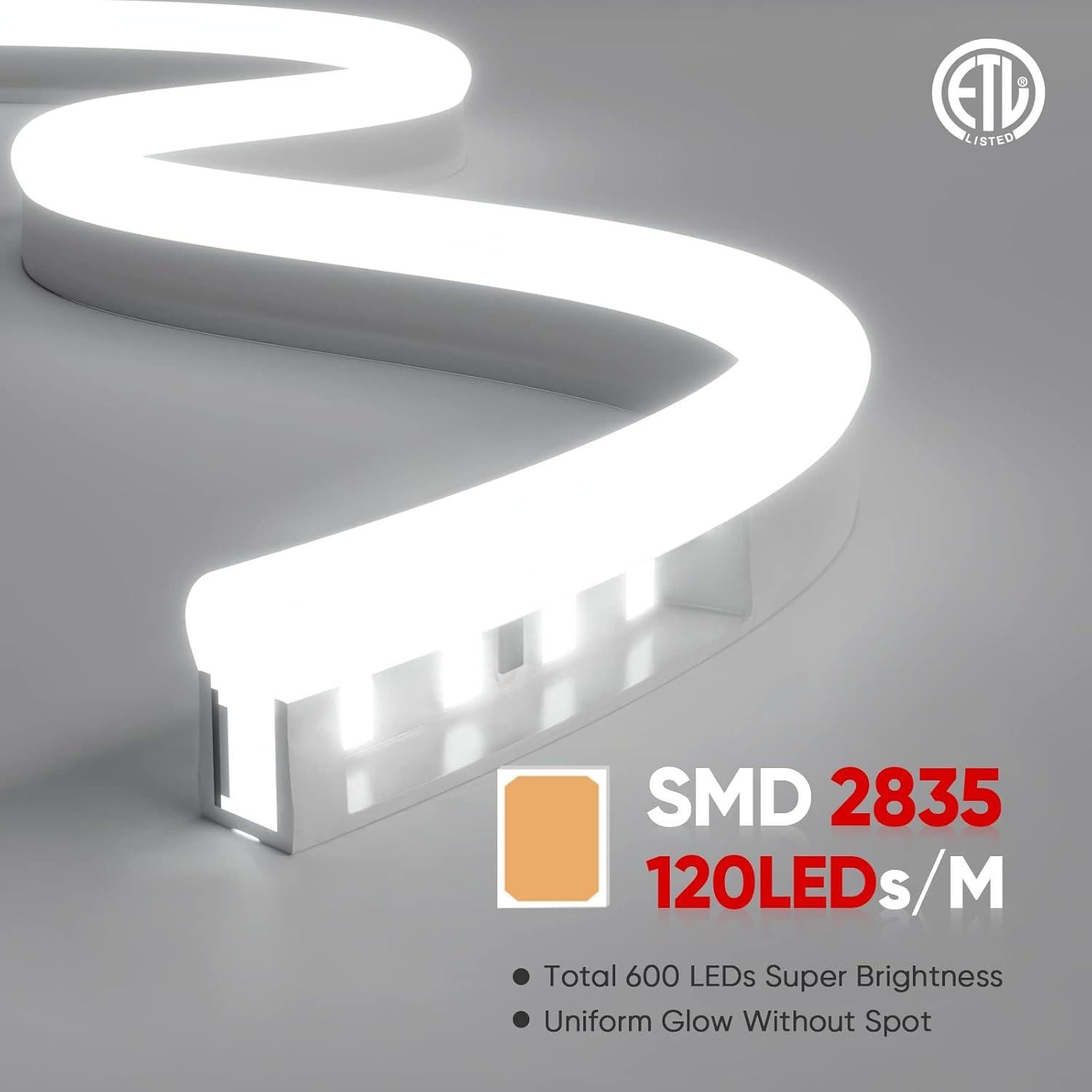 Luces de Cuerda de Neón LED Shine Decor 5M IP65 6500K