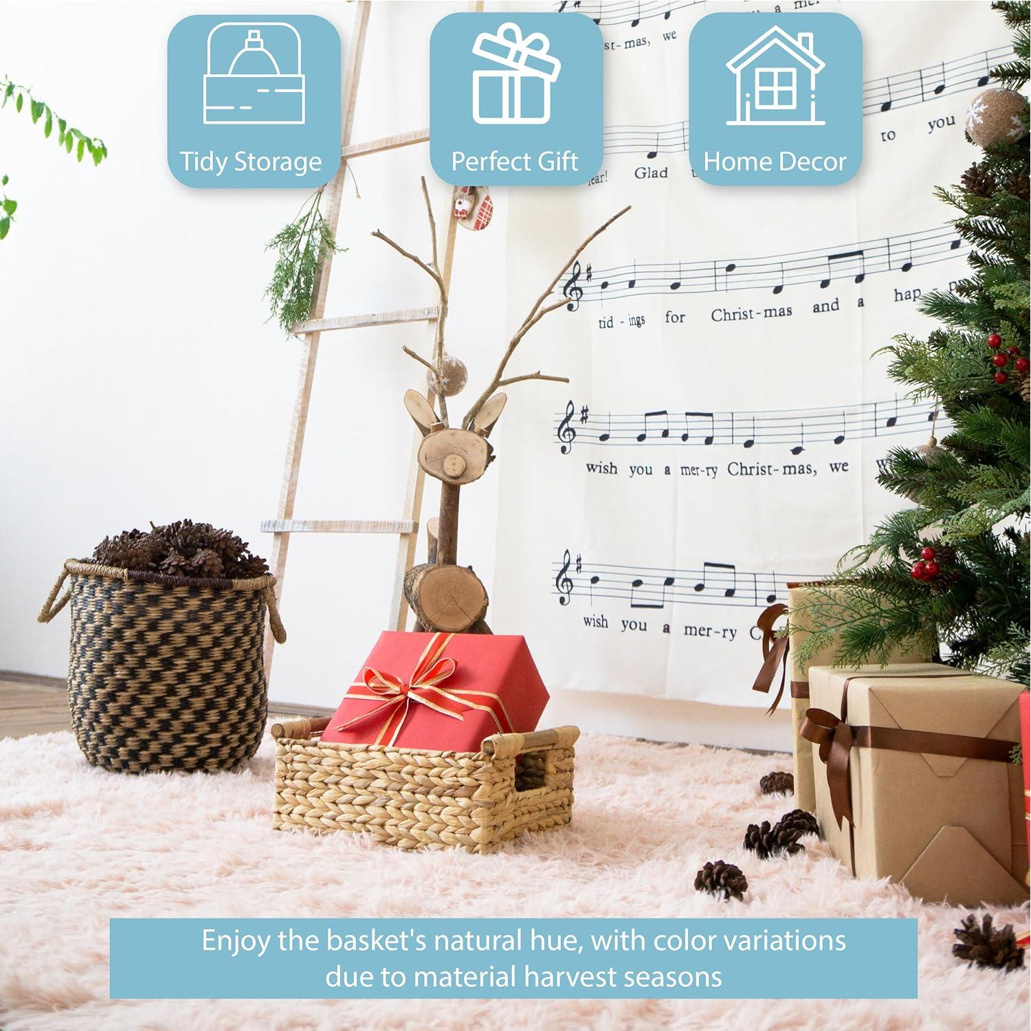 Canasta Pequeña de Mimbre VATIMA 29.5x20.6x12.4 cm - Almacenamiento Natural