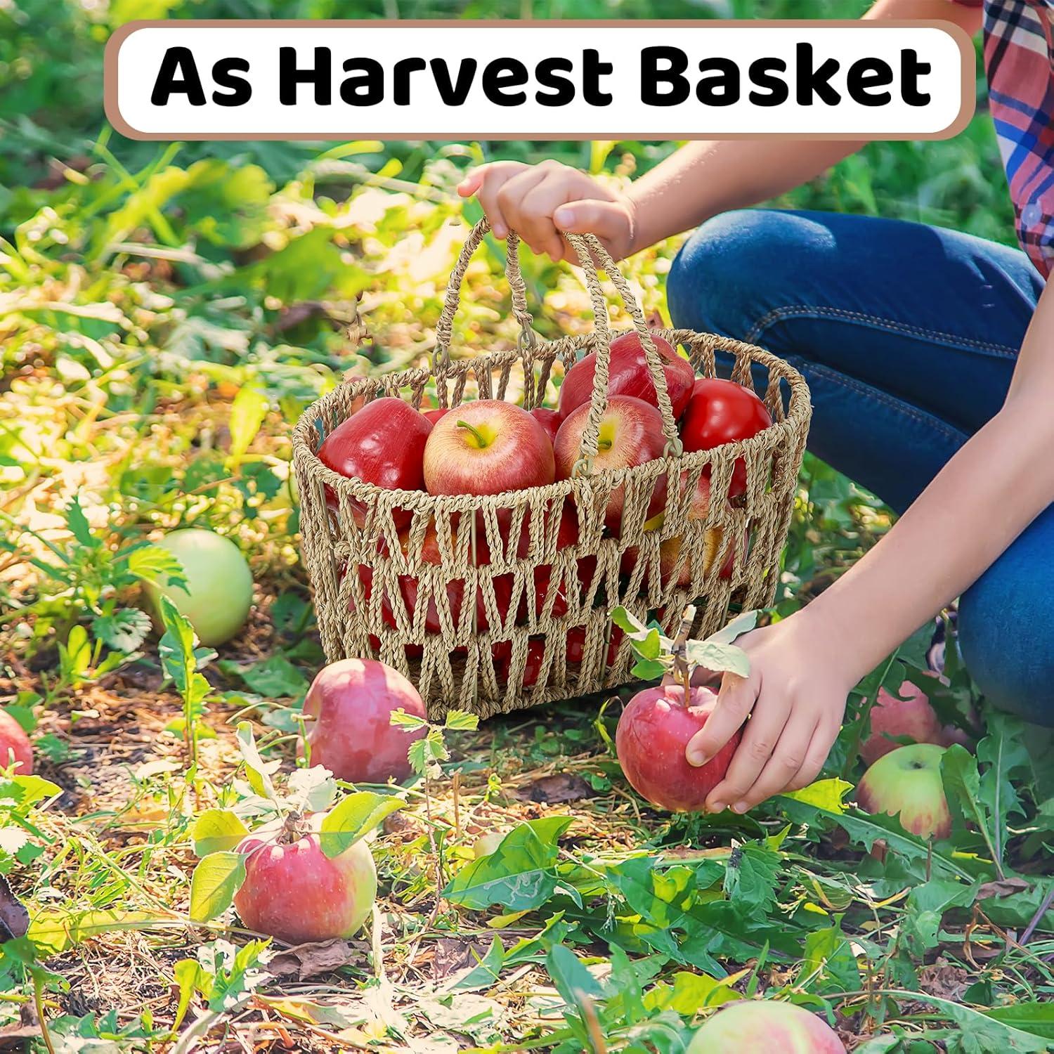 Cesta de Picnic Edergoo 2 Paquetes Mimbre Natural 35x19x17cm