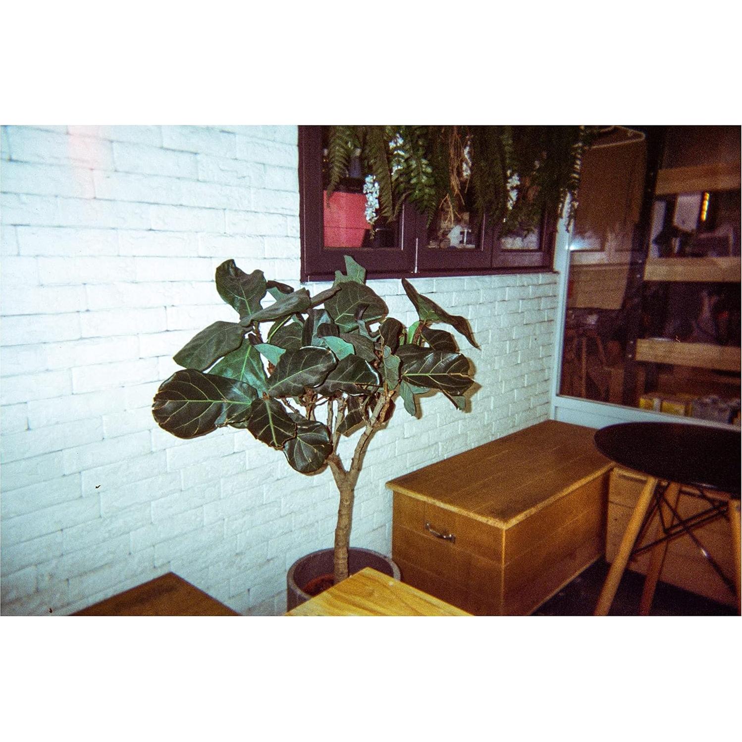 Cámara desechable RETO Amber Spark 35mm 27exp con flash