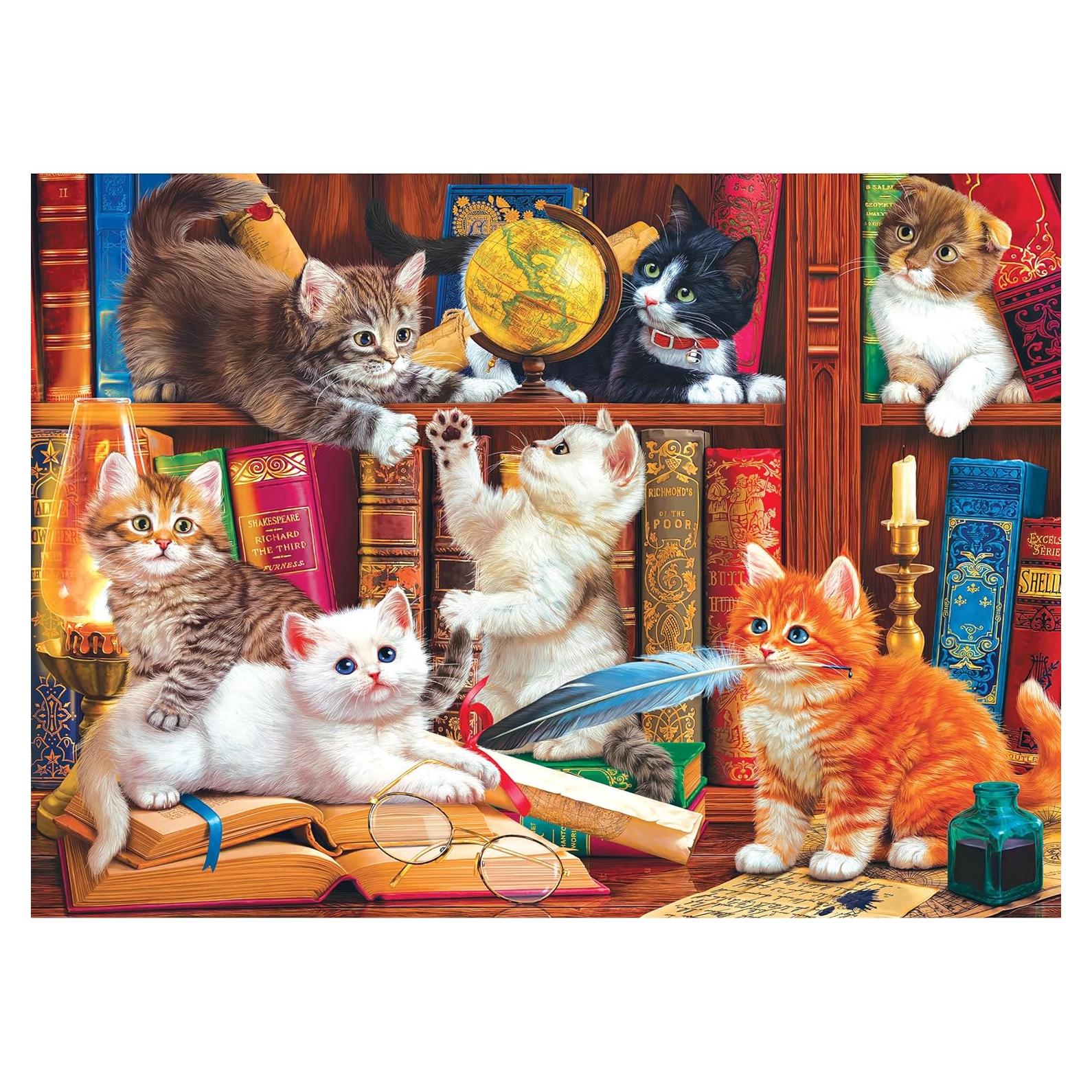 Rompecabezas Kodak Premium 1000 Piezas Gatitos Biblioteca