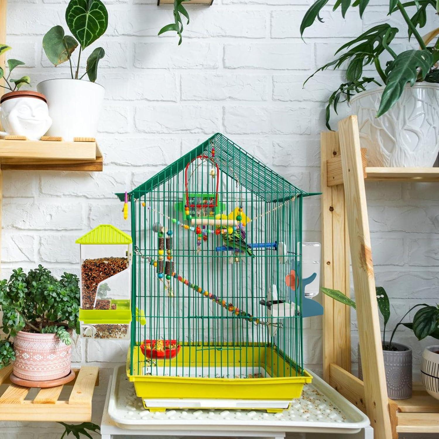 Alimentador Automático de Aves Rypet Verde + Bebedero 500g