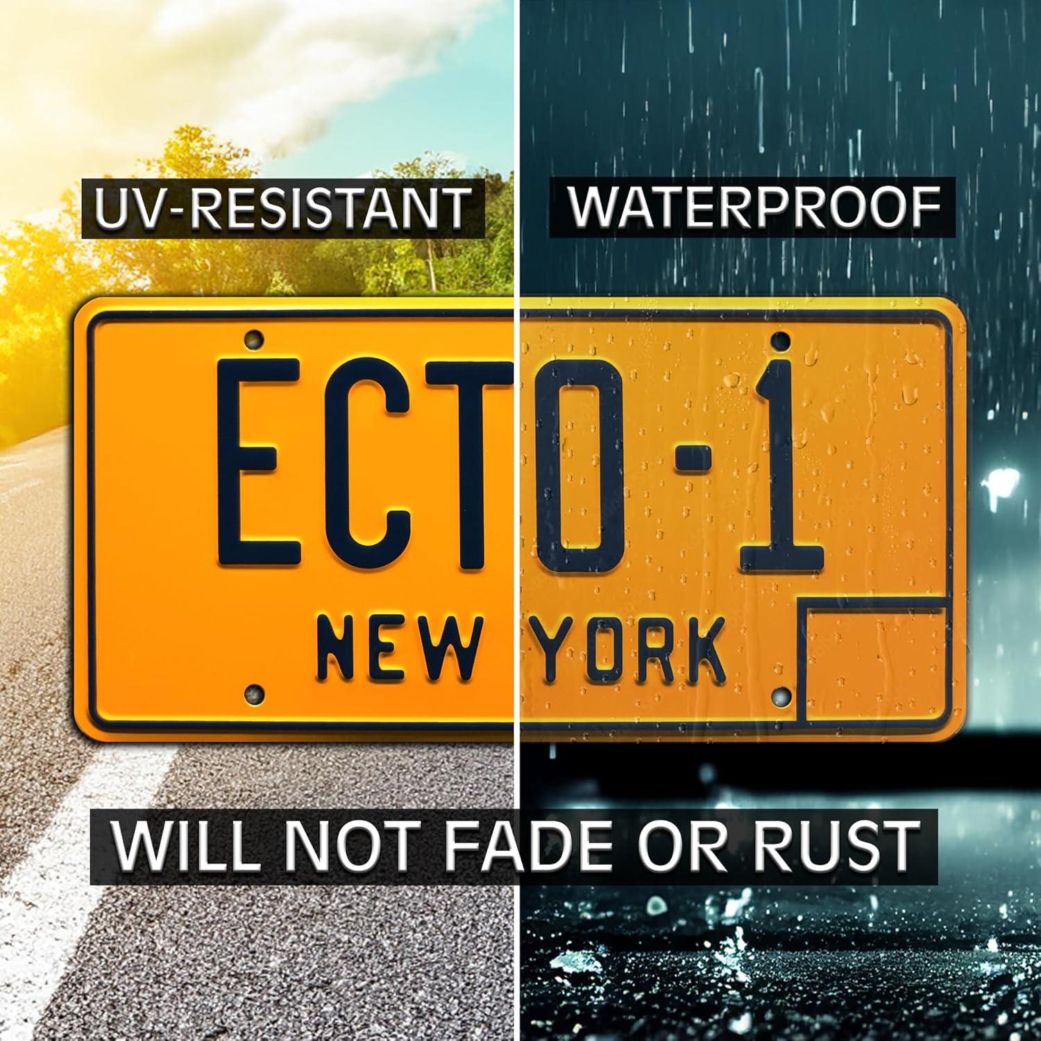 Placa de Licencia ECTO-1 Celebrity Machines 30x15 cm Decorativa