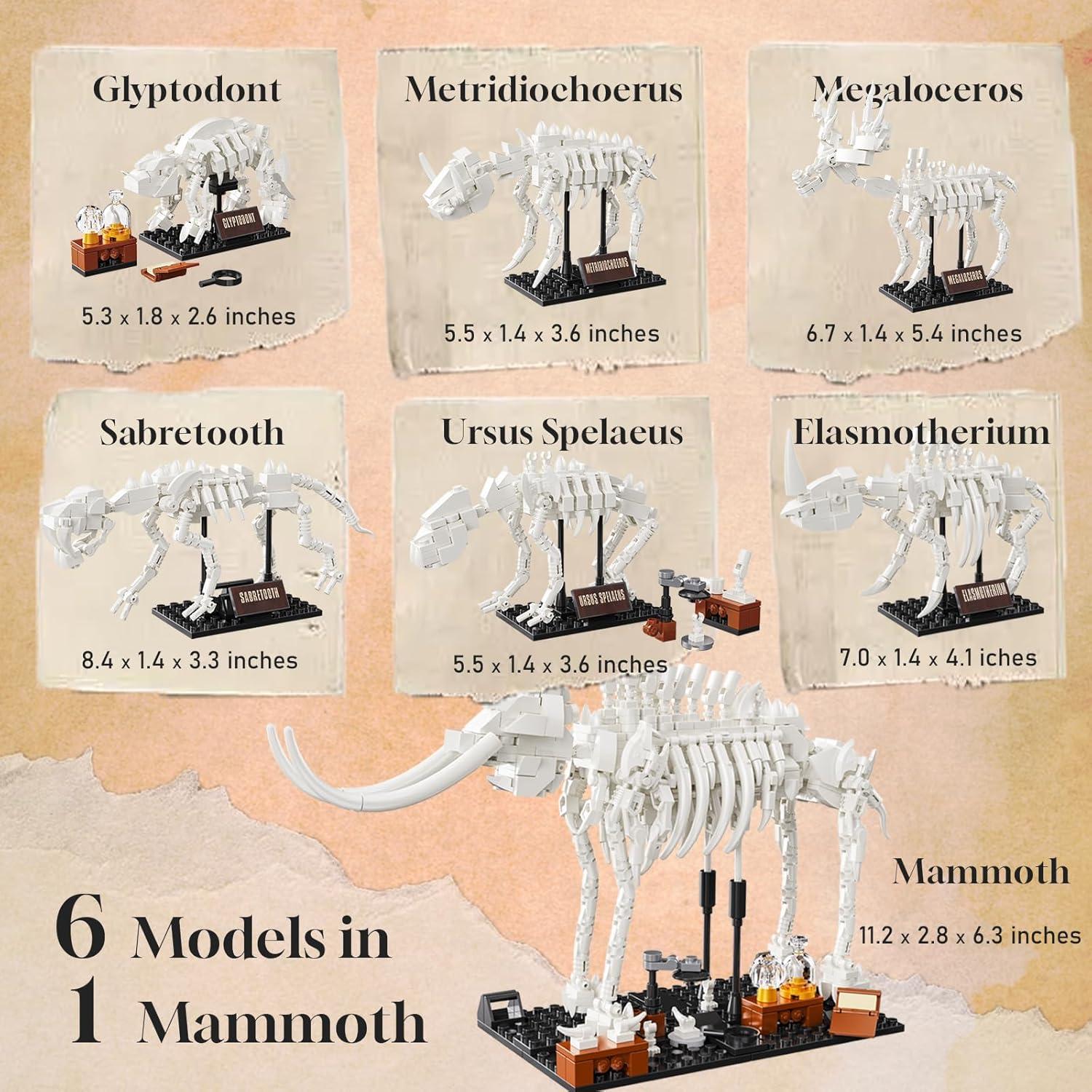 Kit de Construcción 6 en 1 Fósiles PAN TASY para Niños 8+