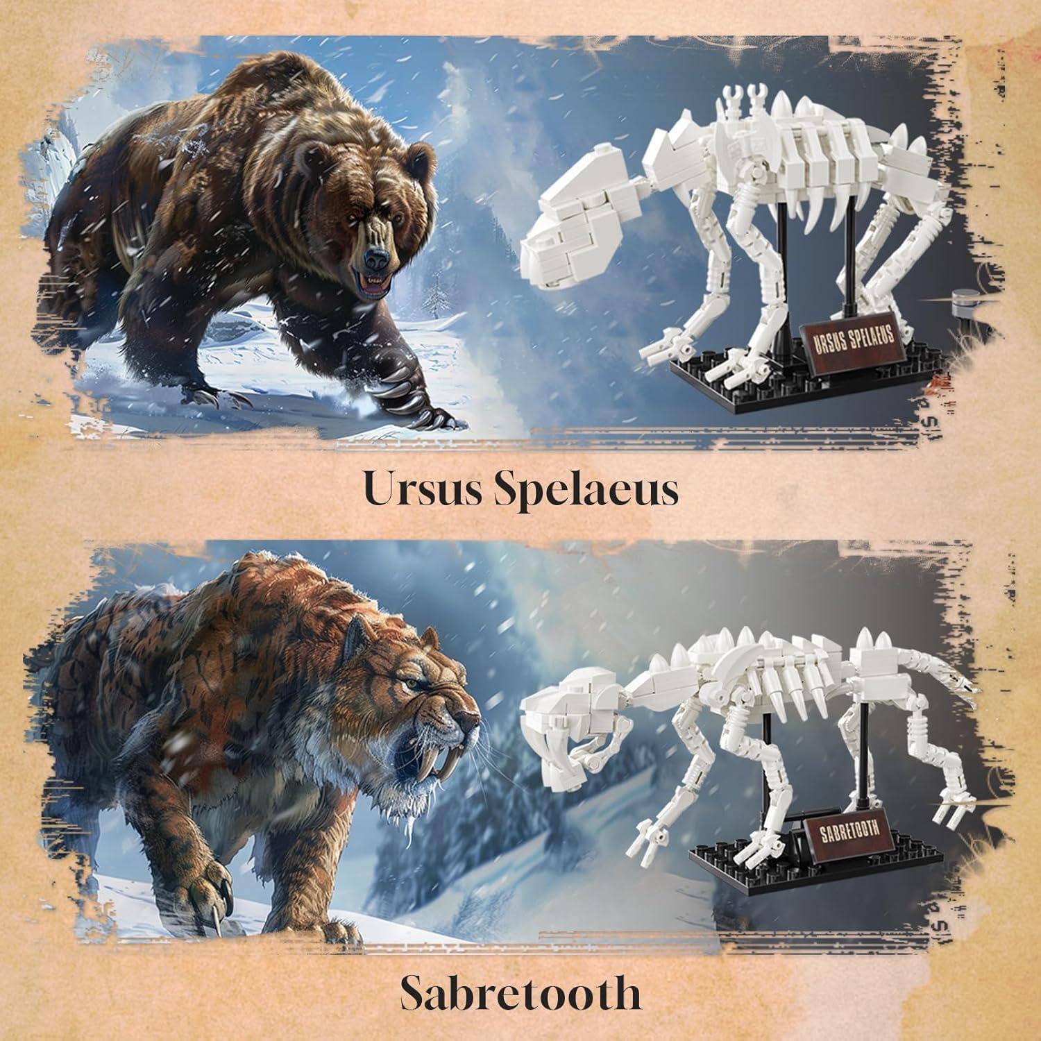 Kit de Construcción 6 en 1 Fósiles PAN TASY para Niños 8+