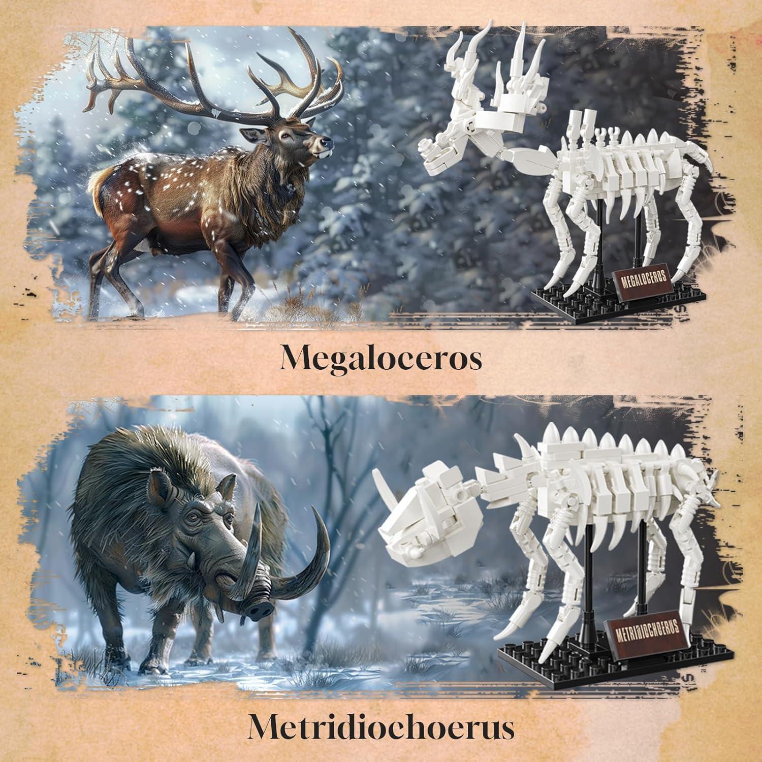 Kit de Construcción 6 en 1 Fósiles PAN TASY para Niños 8+