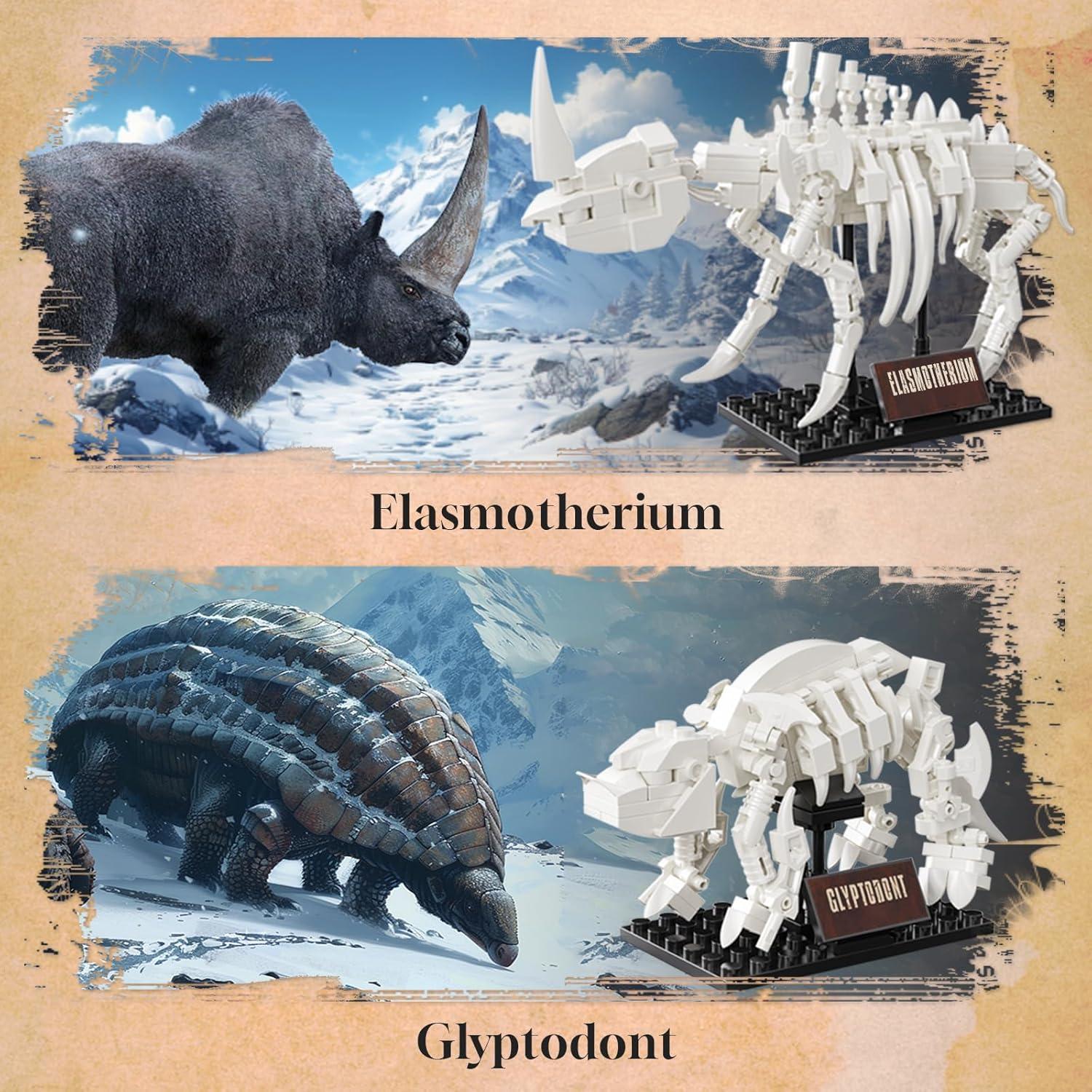 Kit de Construcción 6 en 1 Fósiles PAN TASY para Niños 8+