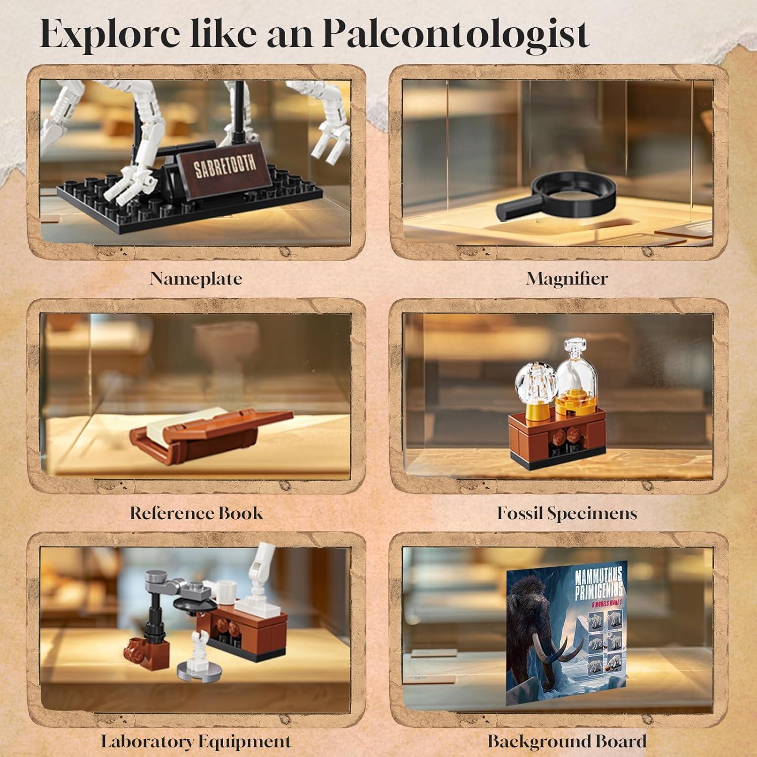 Kit de Construcción 6 en 1 Fósiles PAN TASY para Niños 8+