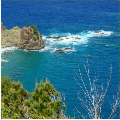 Lente Tamron 50-400mm f/4.5-6.3 para Sony FE - Ultra Telefoto