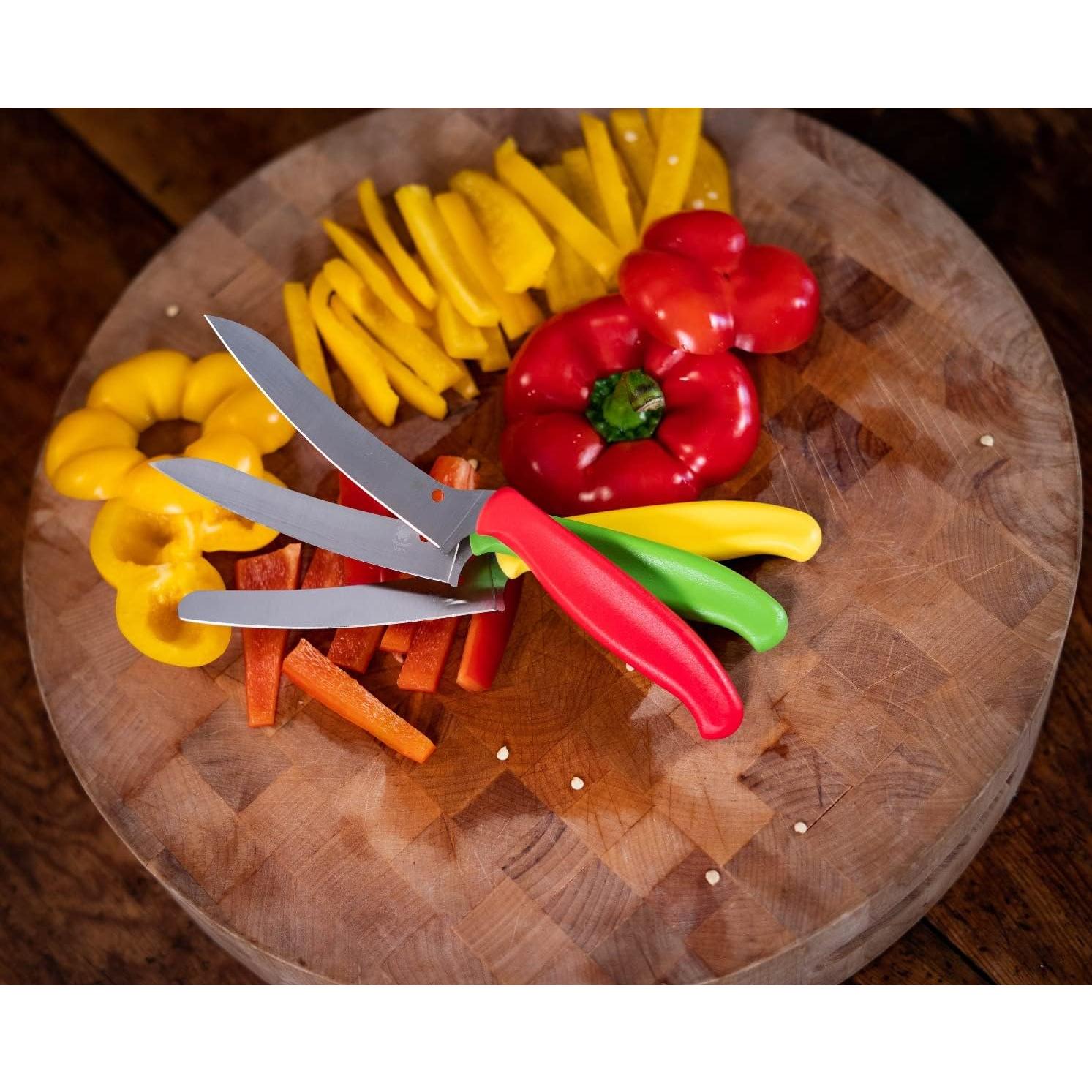 Cuchillo de Cocina Spyderco Z-Cut 10.9 cm Punta Romana Serrado