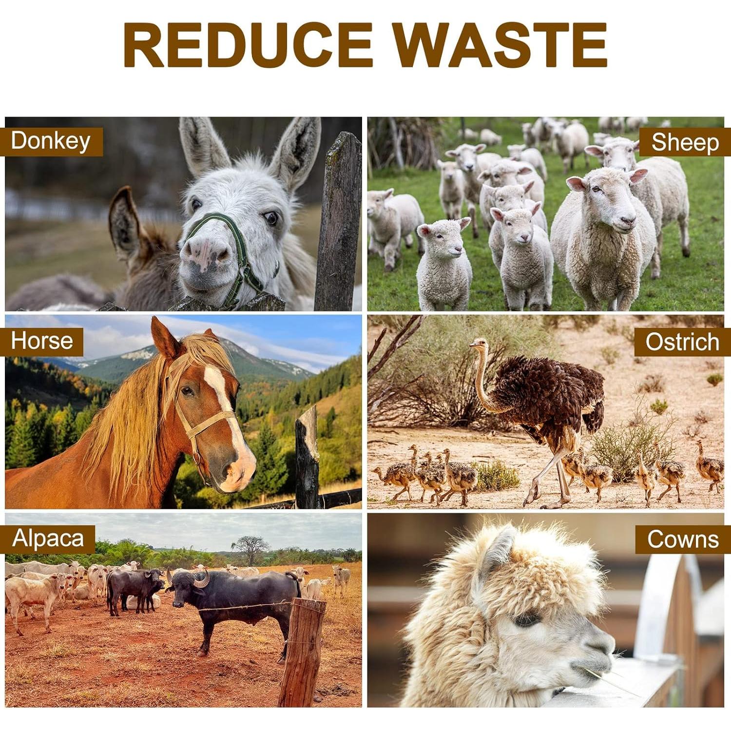 Bolsa de Alimentación para Caballos Sumind - 2 Pcs Malla Resistente