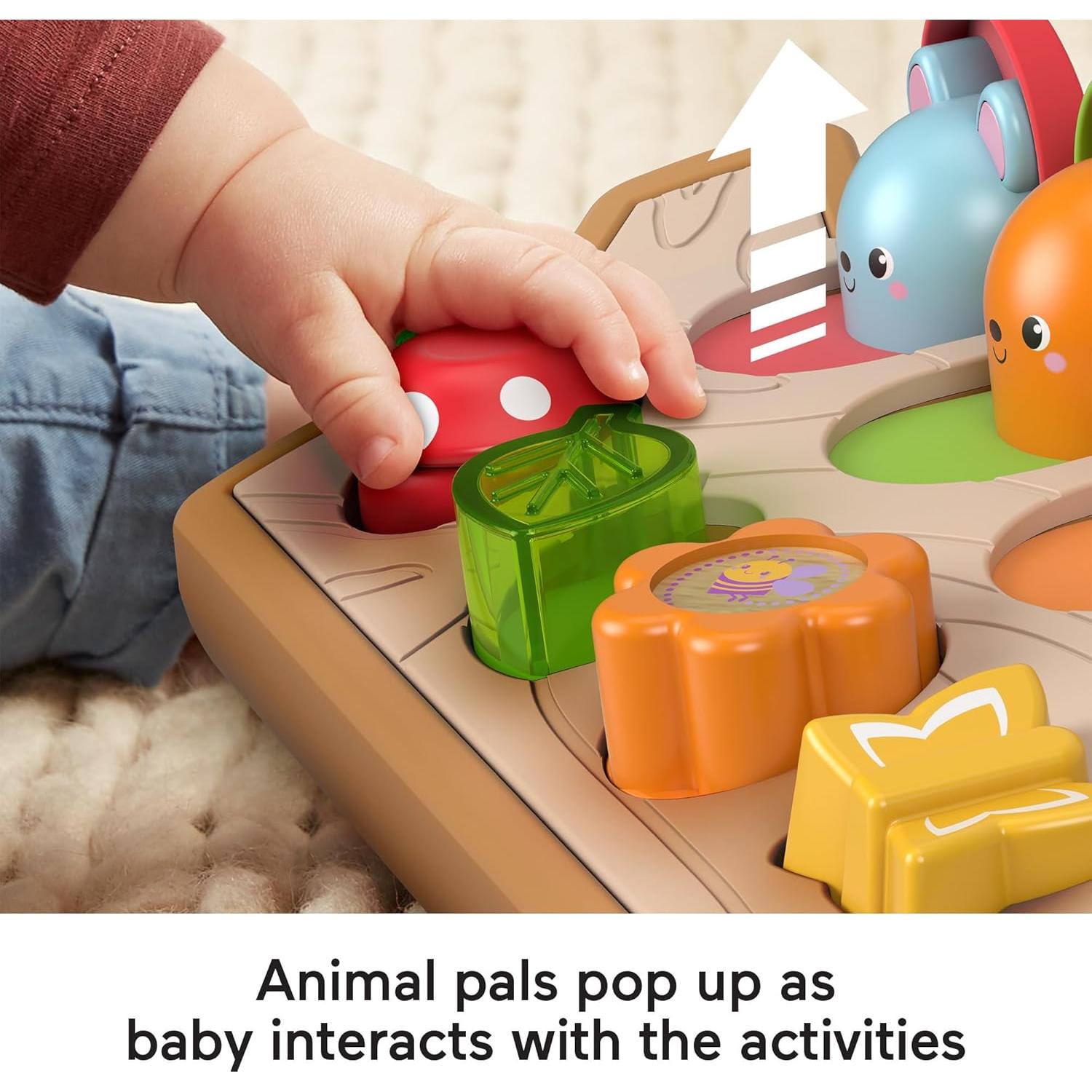 Juguete de Actividad Fisher-Price Esconde y Asoma 0.72 kg