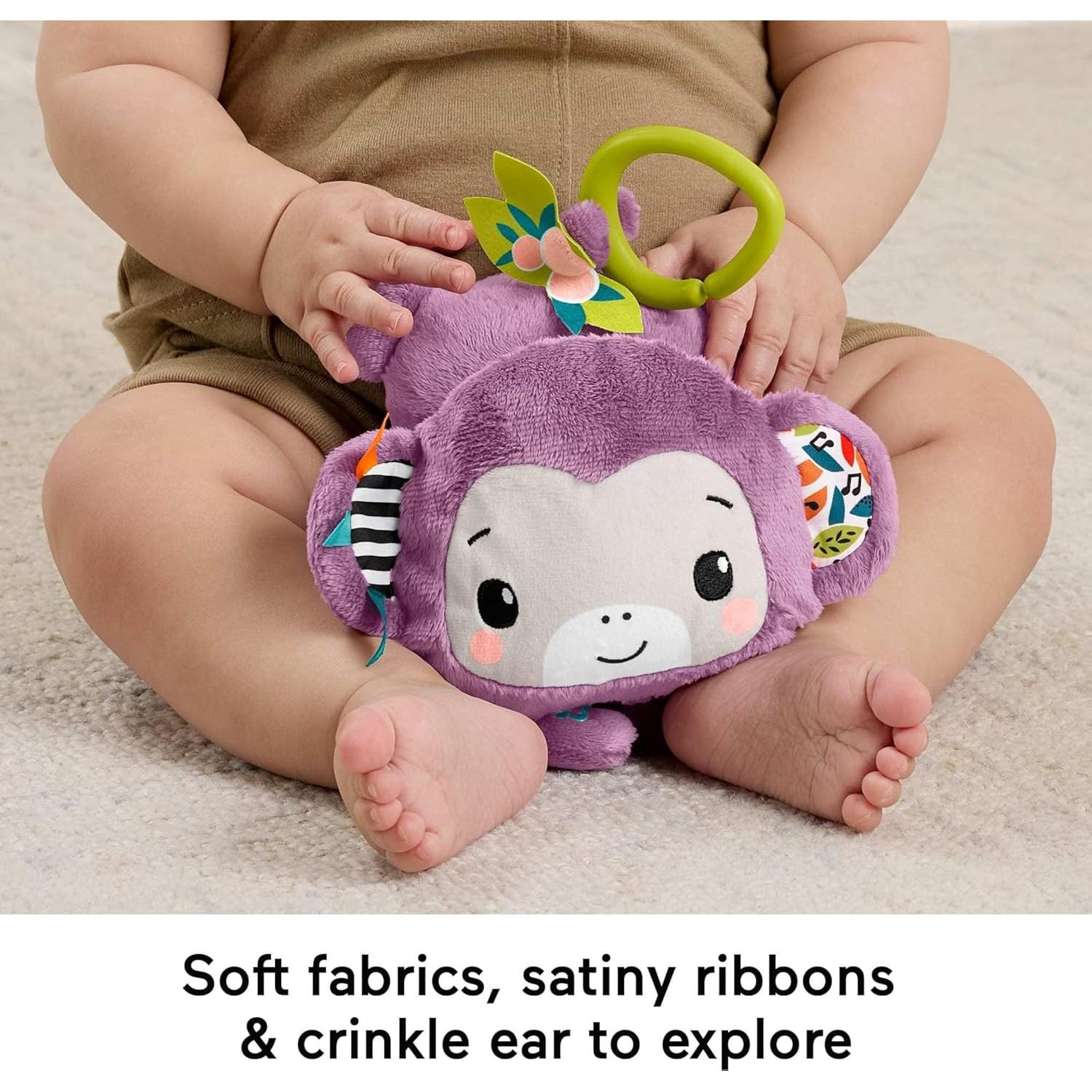 Juguete de Cochecito Fisher-Price Mono Morado Musical 0+